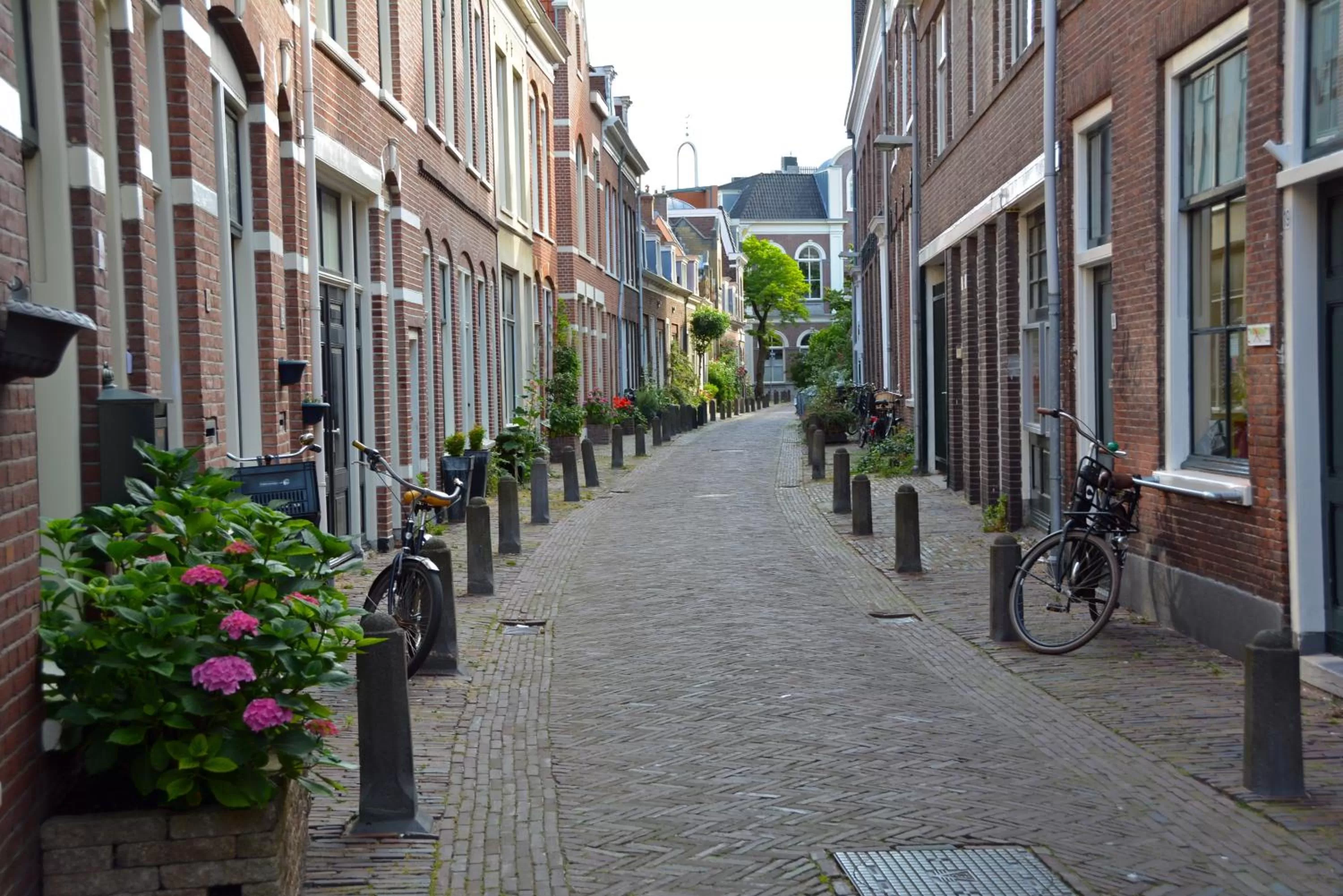 View (from property/room) in Bed & Breakfast Hotel Malts