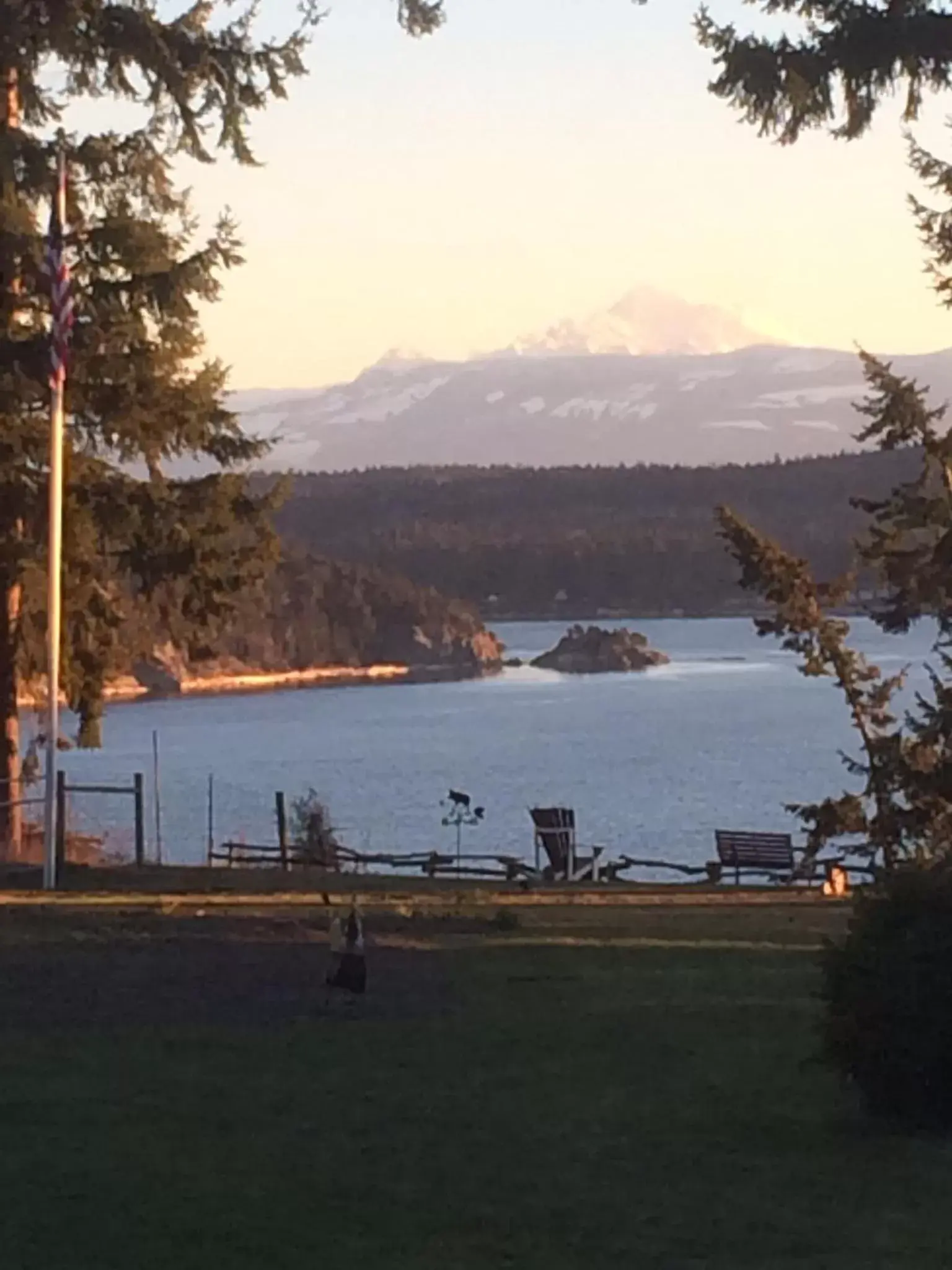 Natural landscape in The Bluff on Whidbey