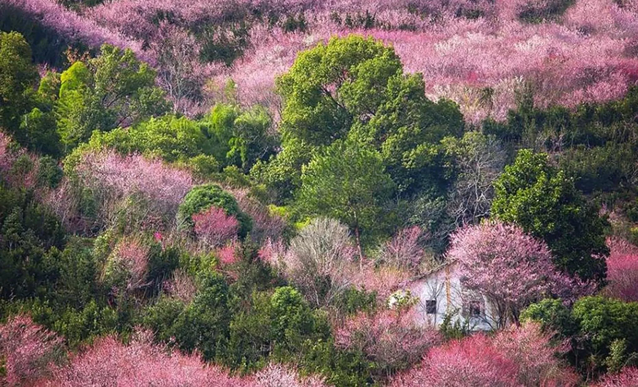 Area and facilities in Crowne Plaza Huangshan Yucheng by IHG