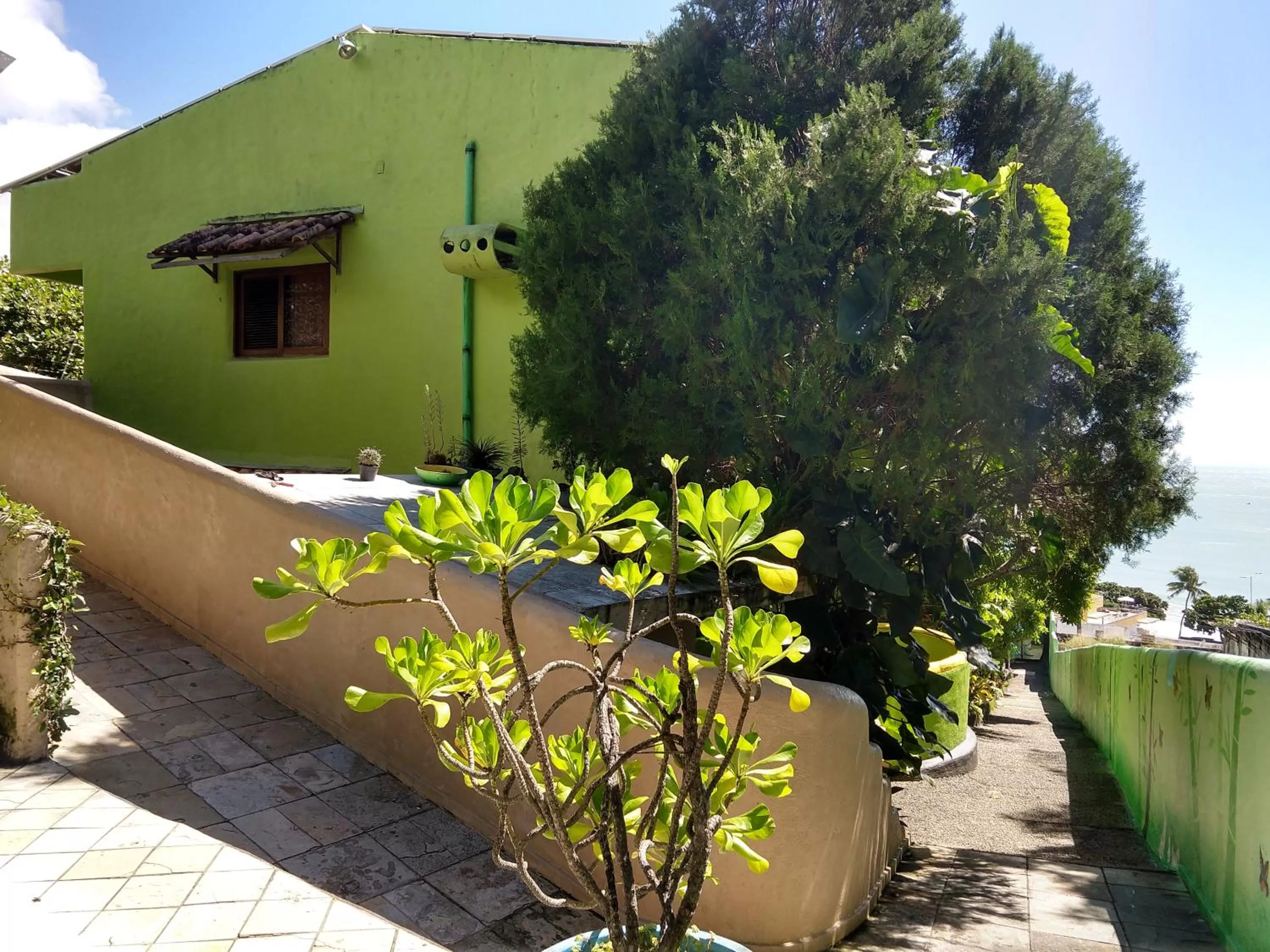 Facade/entrance, Property Building in Bamboo Flat