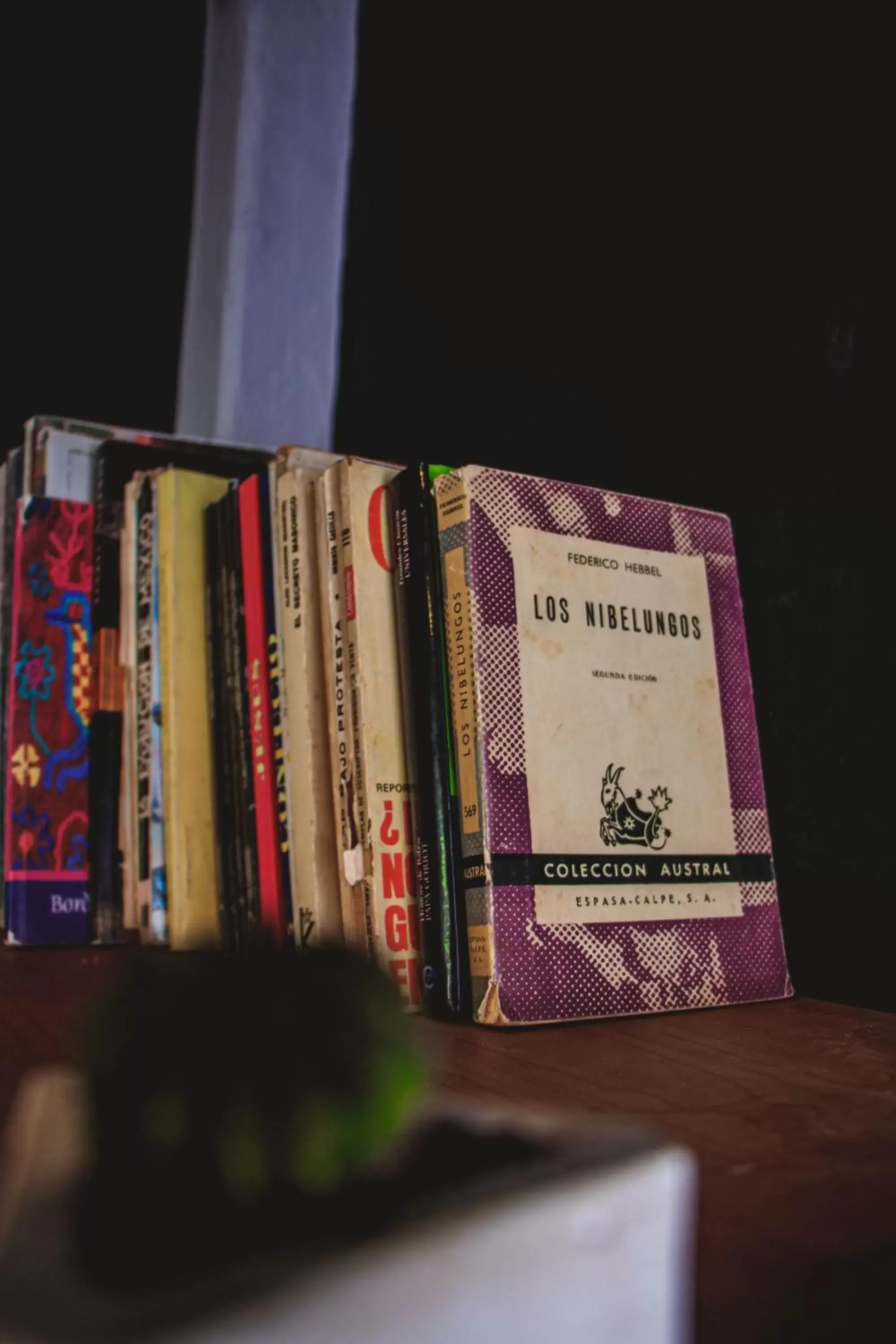 Library in Hotel Ciclovía & Terraza