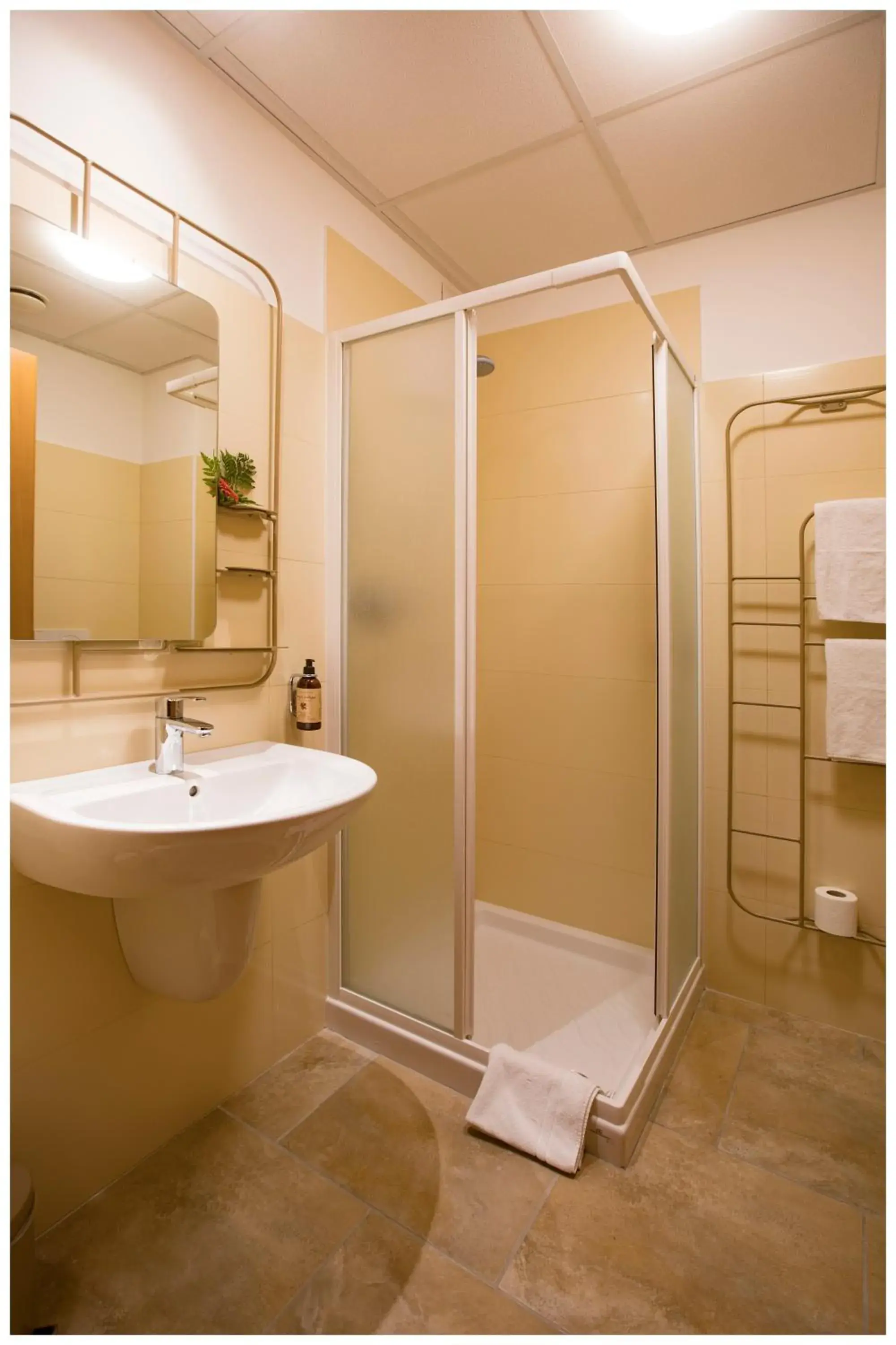 Shower, Bathroom in Santa Teresa House