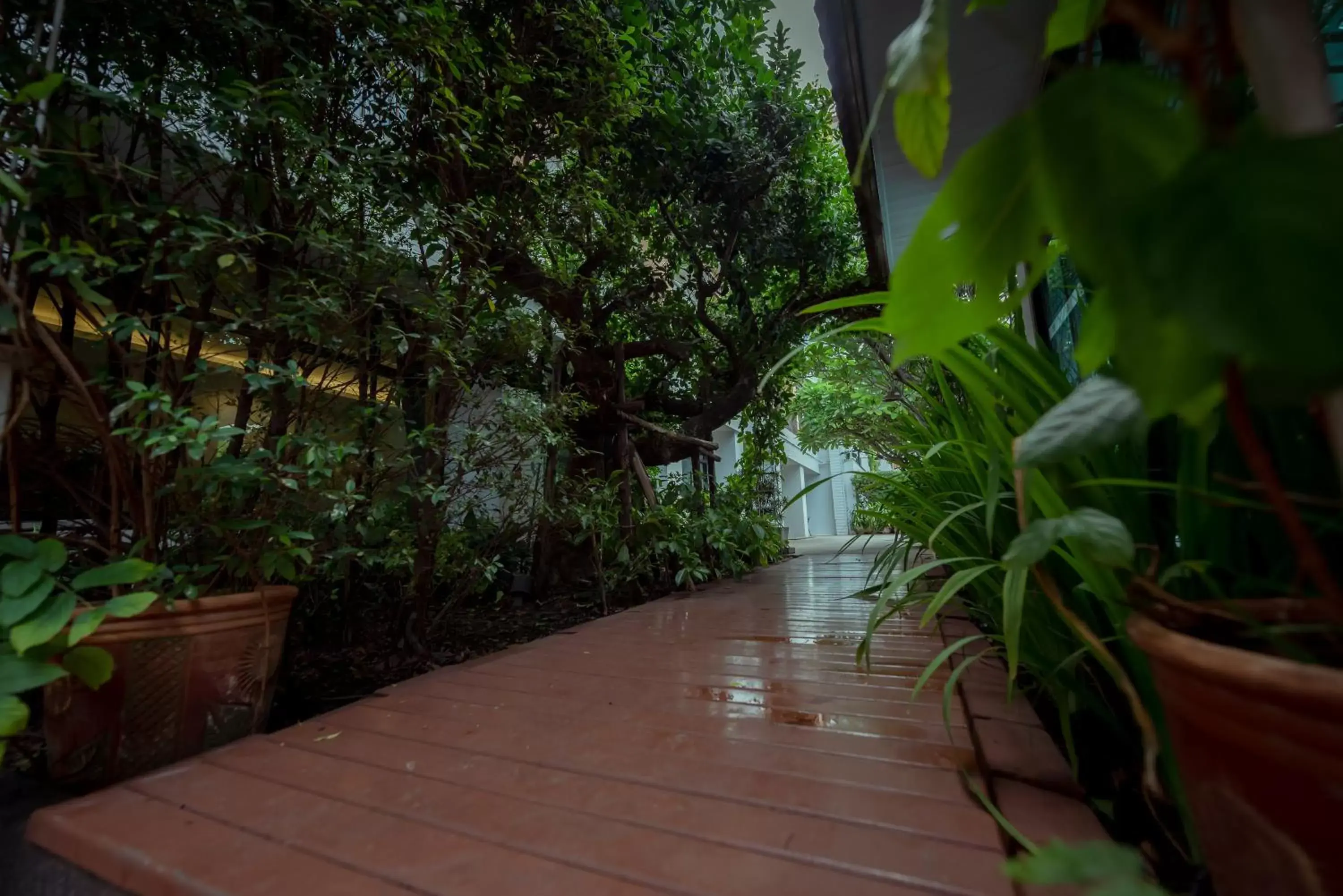 Garden in The Pannarai Hotel