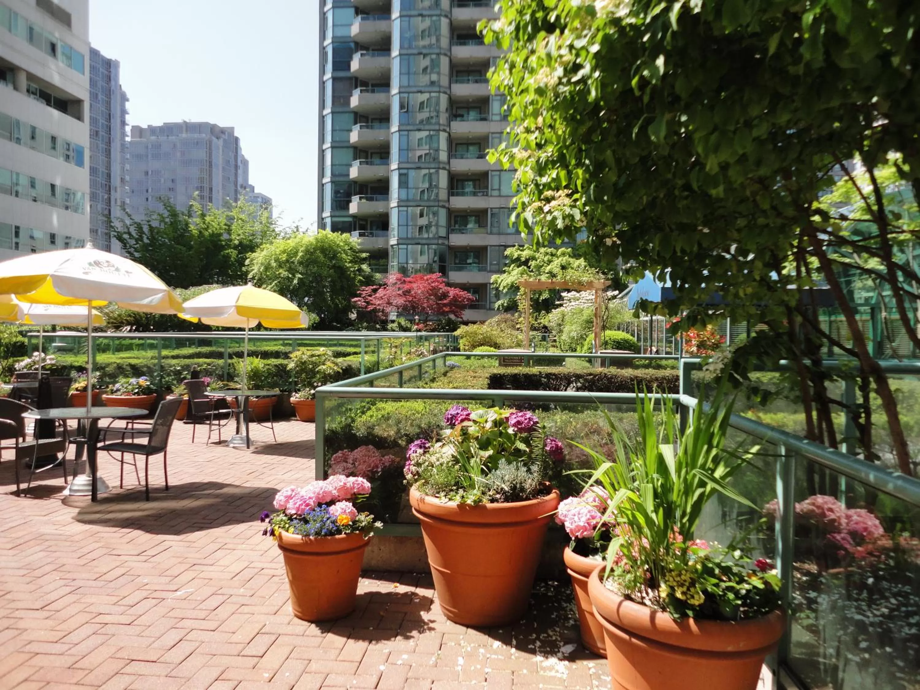 Balcony/Terrace in Rosedale on Robson Suite Hotel