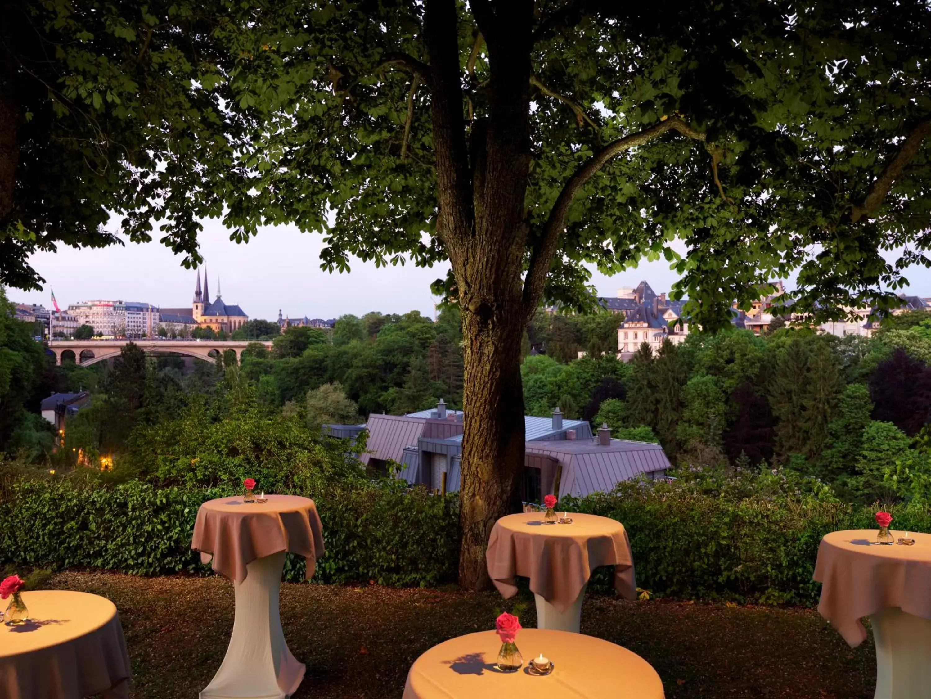 Night, Banquet Facilities in Hotel Parc Belle-Vue