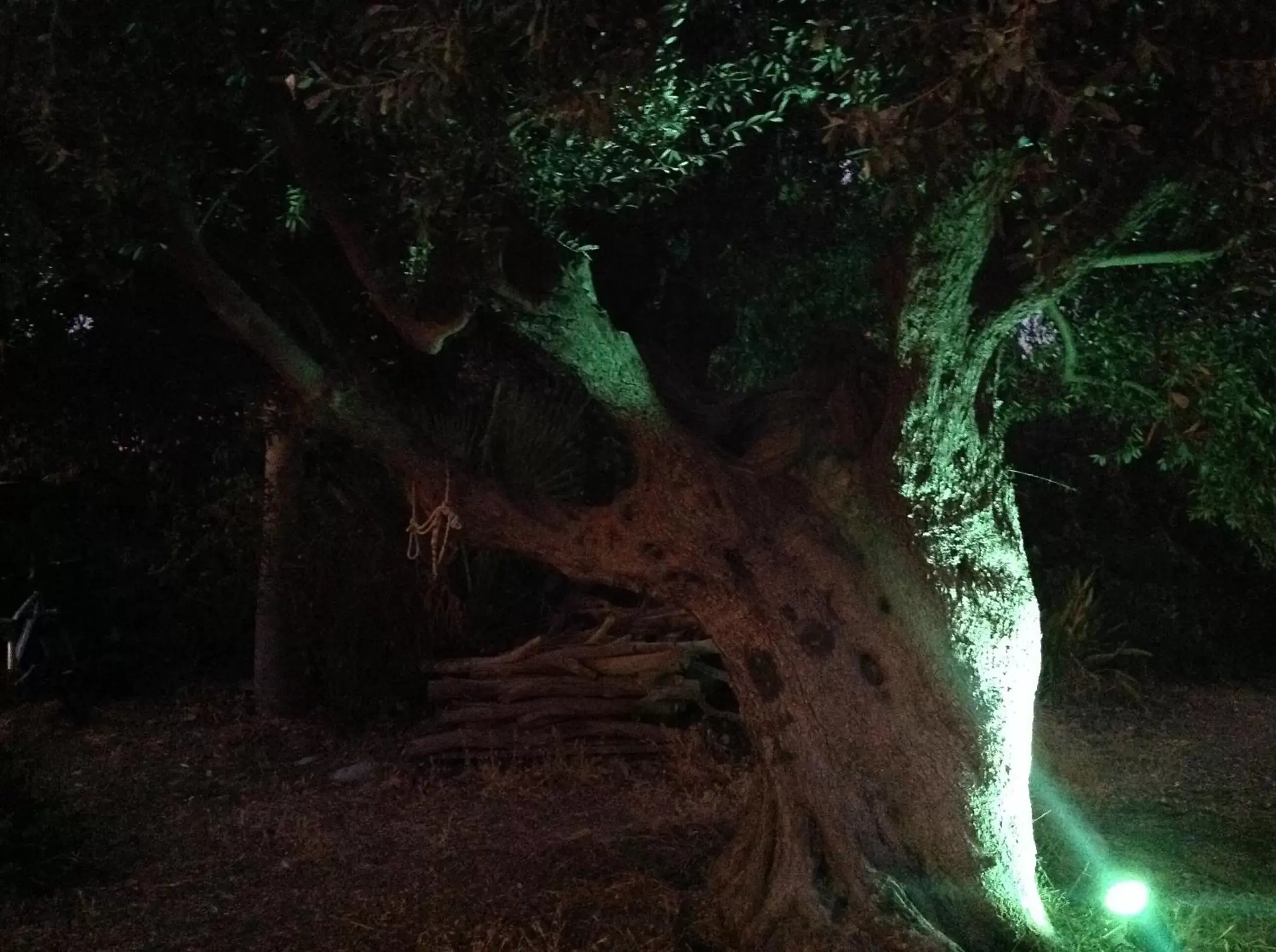 Natural Landscape in B&B Villa Eleonora