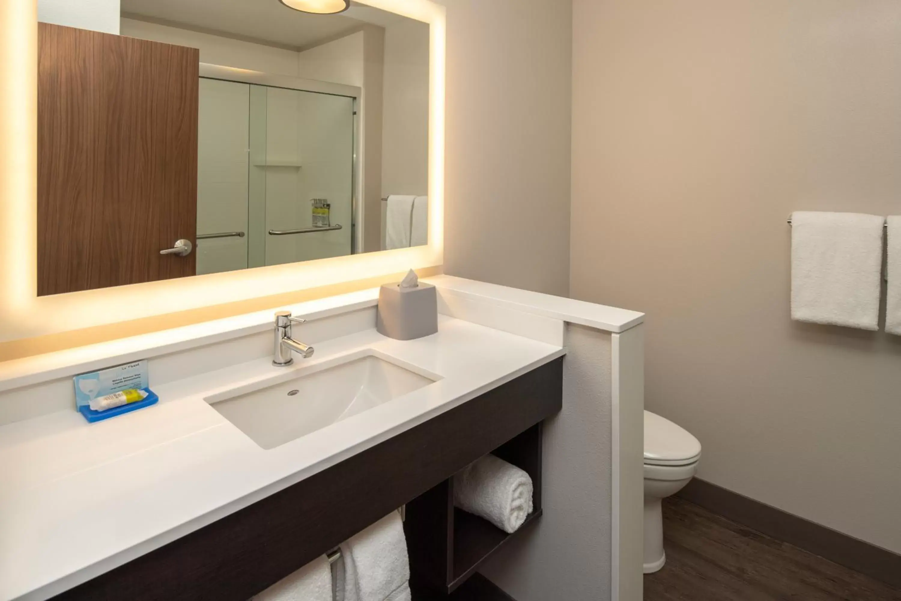 Bathroom in Holiday Inn Express & Suites - Camas, an IHG Hotel