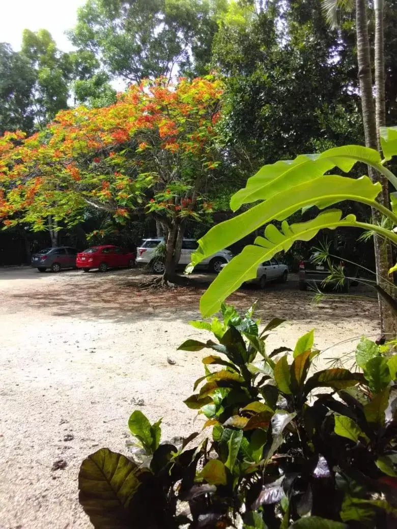 Parking, Beach in Villas Ecotucan