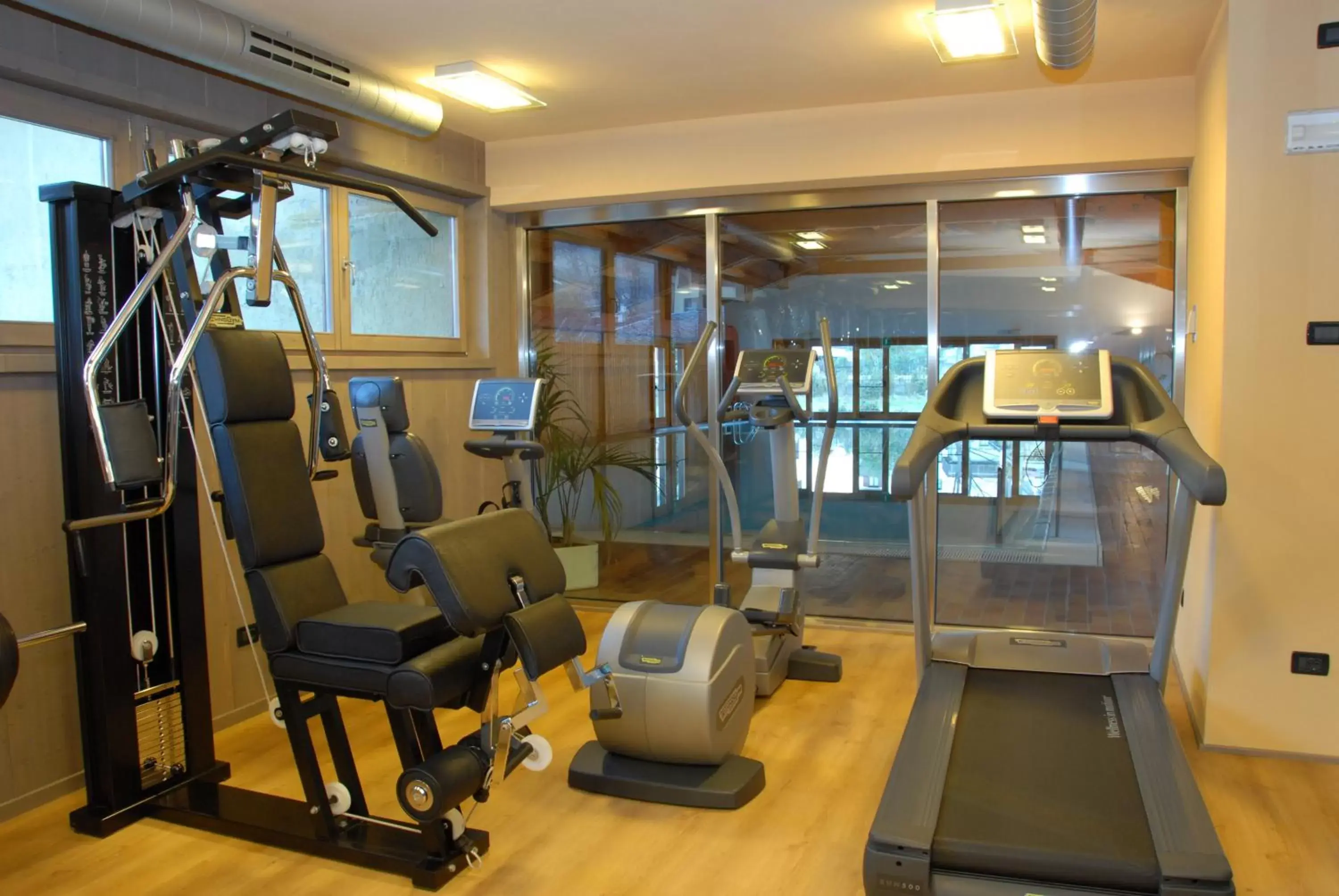 Fitness centre/facilities, Fitness Center/Facilities in Palace Hotel Wellness & Beauty