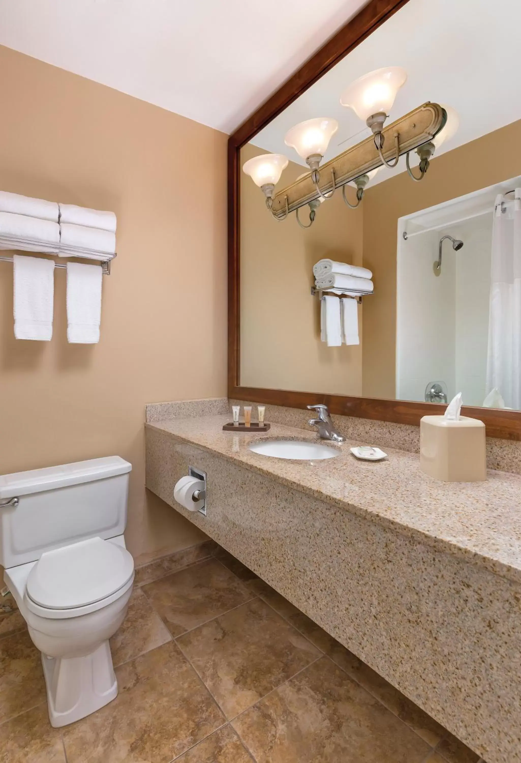 Bathroom in WorldMark Palm Springs - Plaza Resort and Spa