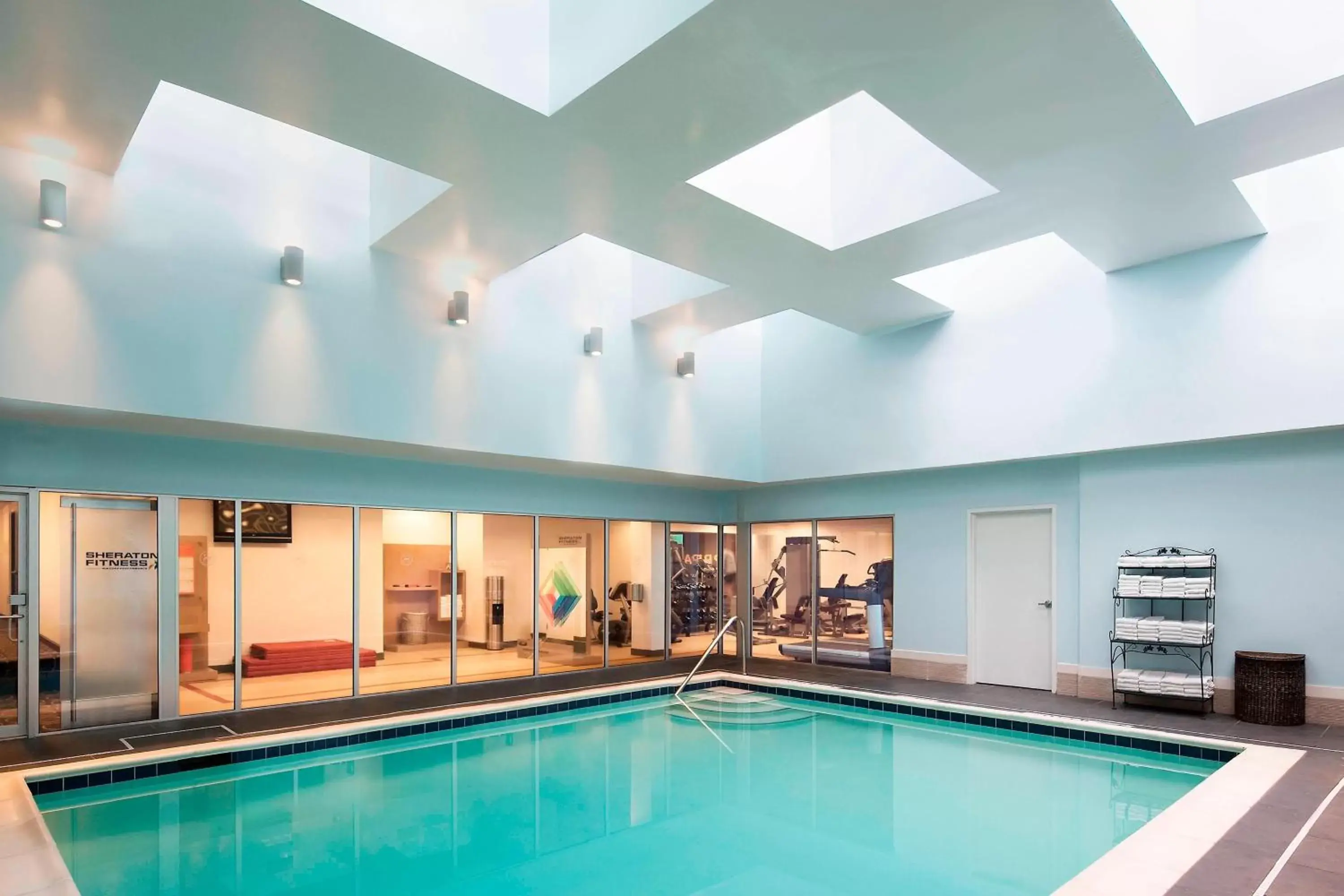 Fitness centre/facilities, Swimming Pool in The Stamford Hotel