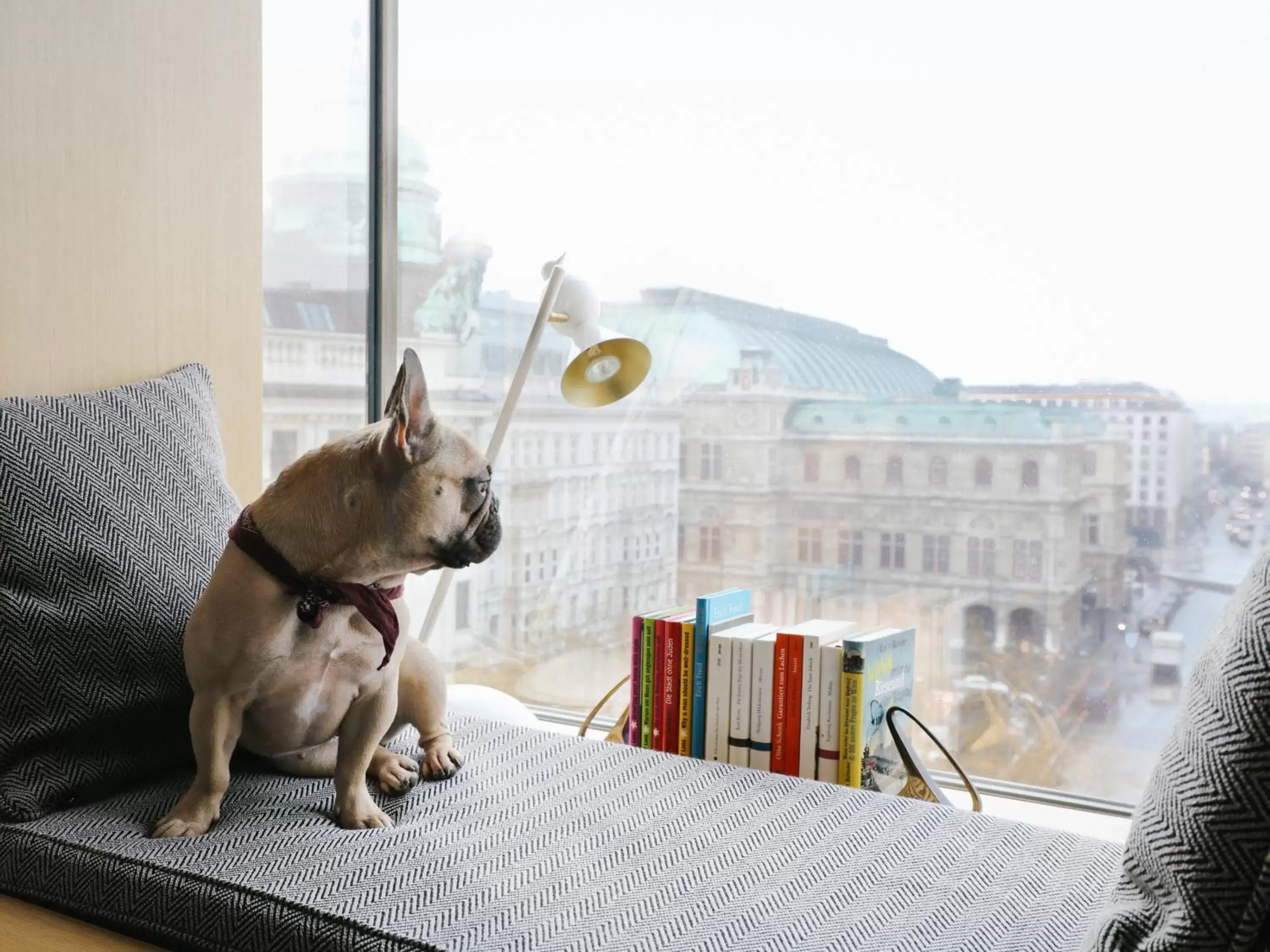 City view, Pets in The Guesthouse Vienna
