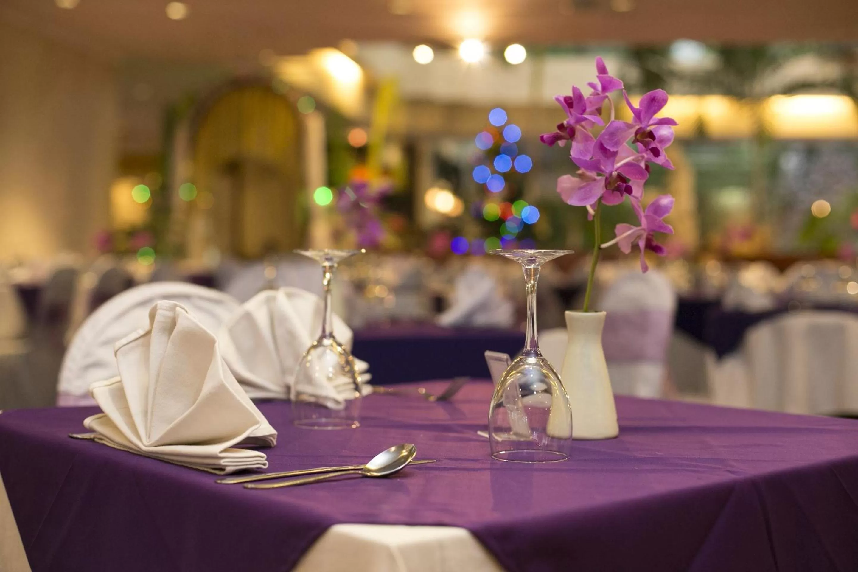 Food and drinks in Parigata Resorts and Spa