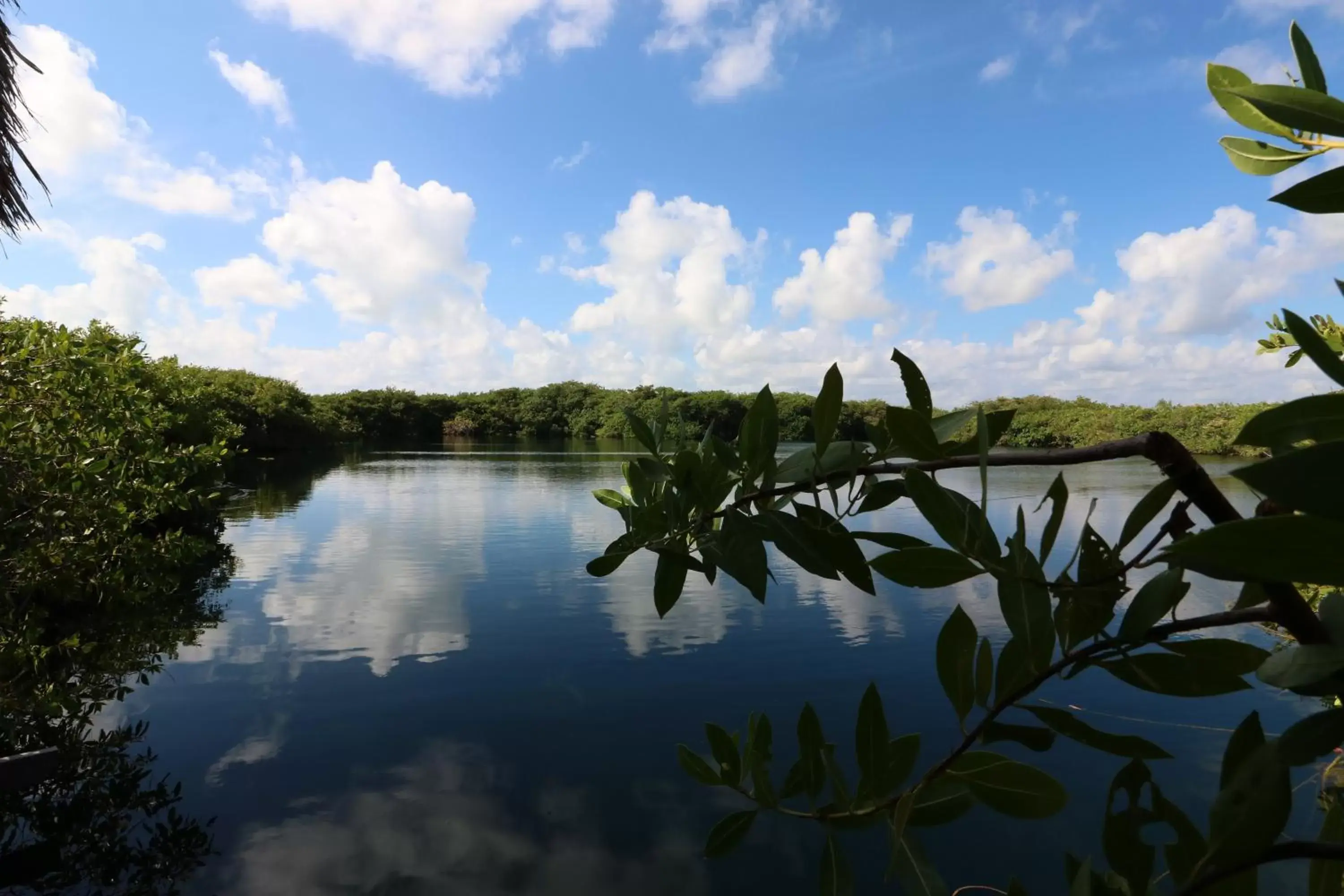 Natural landscape, Swimming Pool in Cormoran Boutique Hotel & Private Cenote Tulum