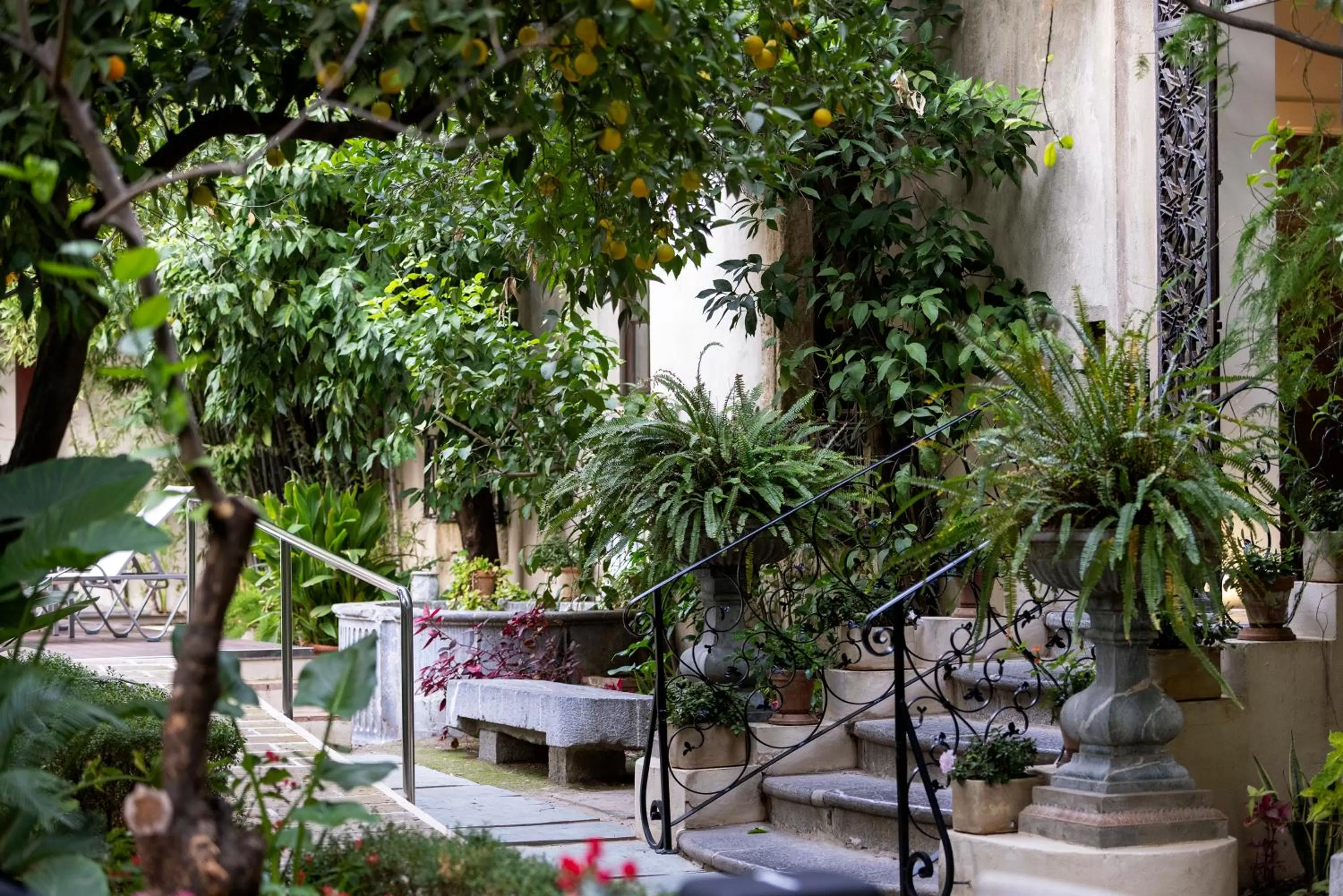 Garden in Hospes Palacio del Bailio, a Member of Design Hotels