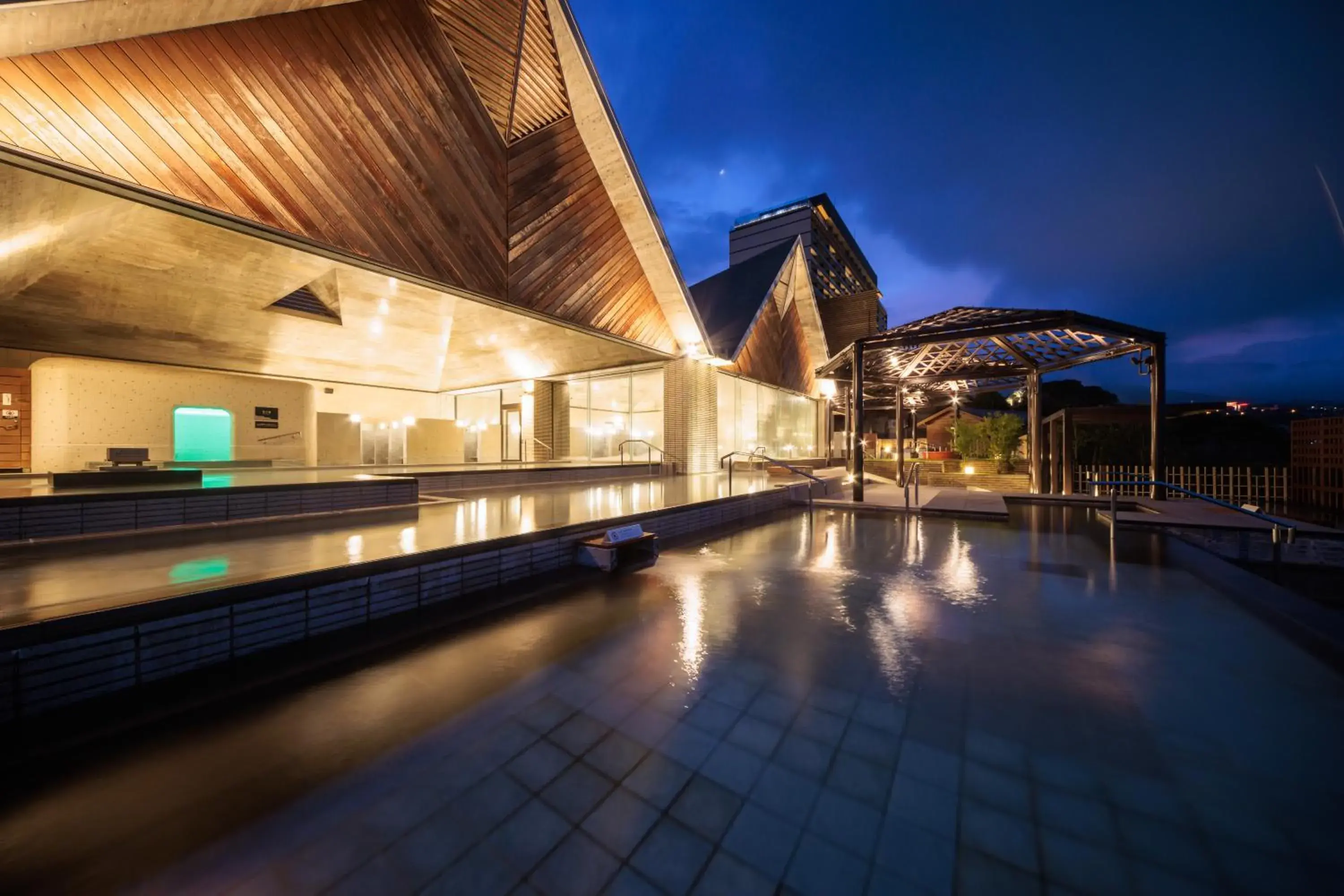 Public Bath, Swimming Pool in Suginoi Hotel