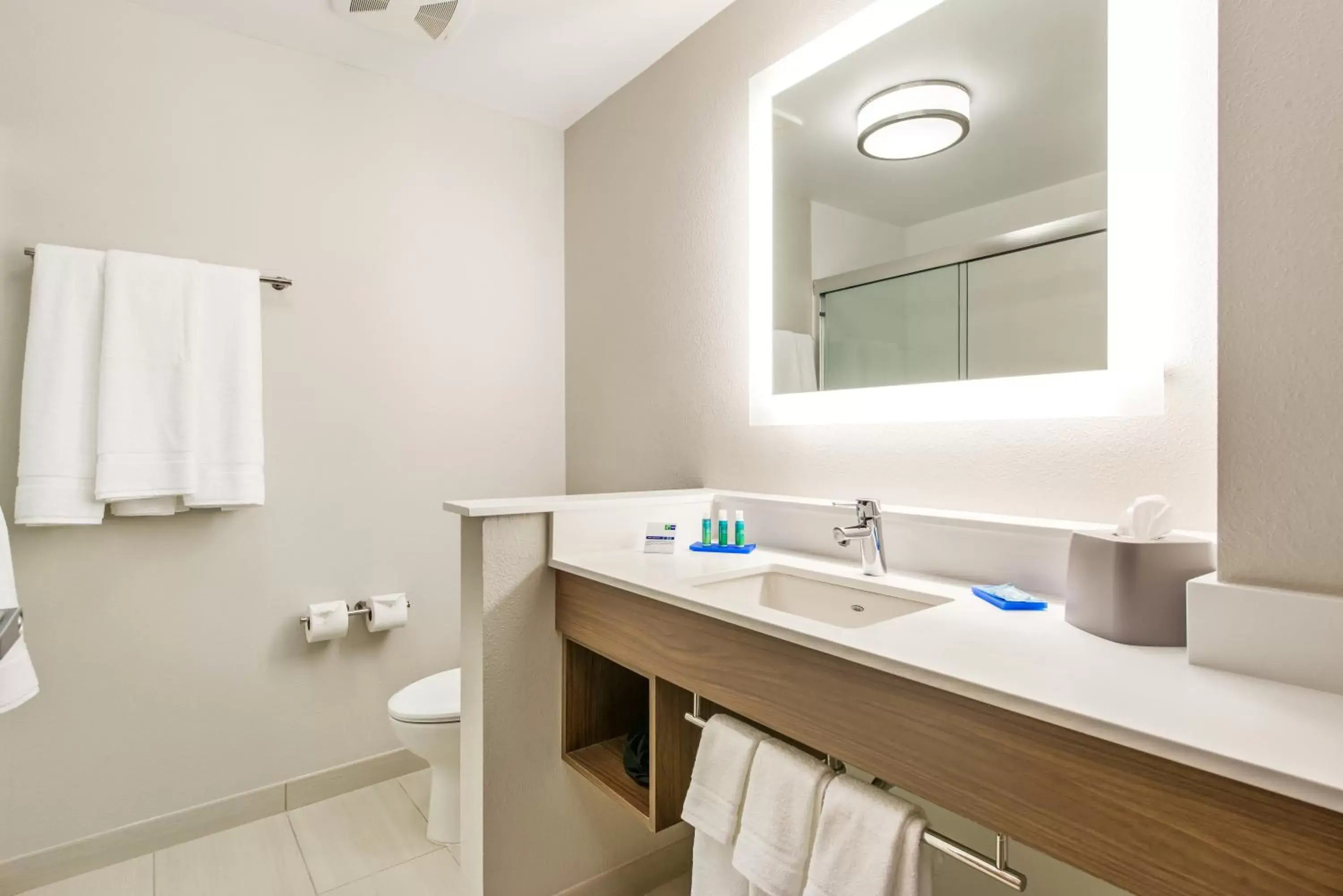 Bathroom in Holiday Inn Express & Suites - Carrollton West, an IHG Hotel