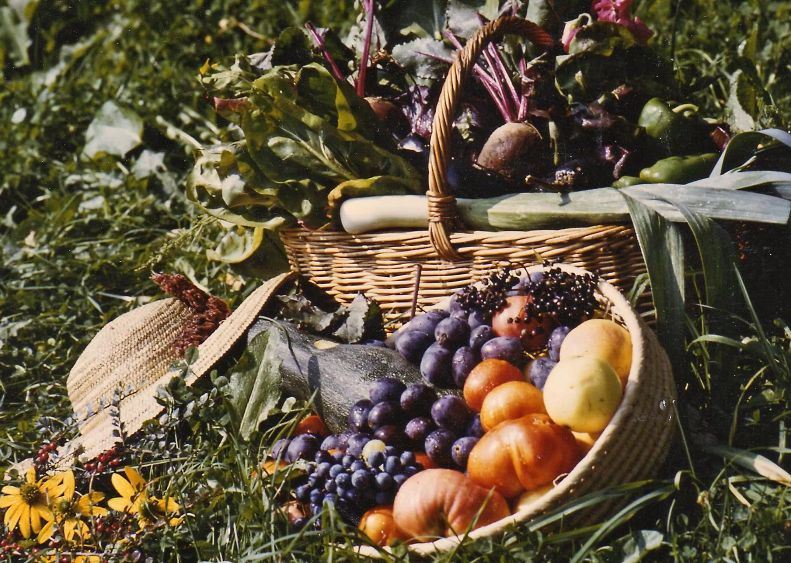 Landhaus Waldfrieden