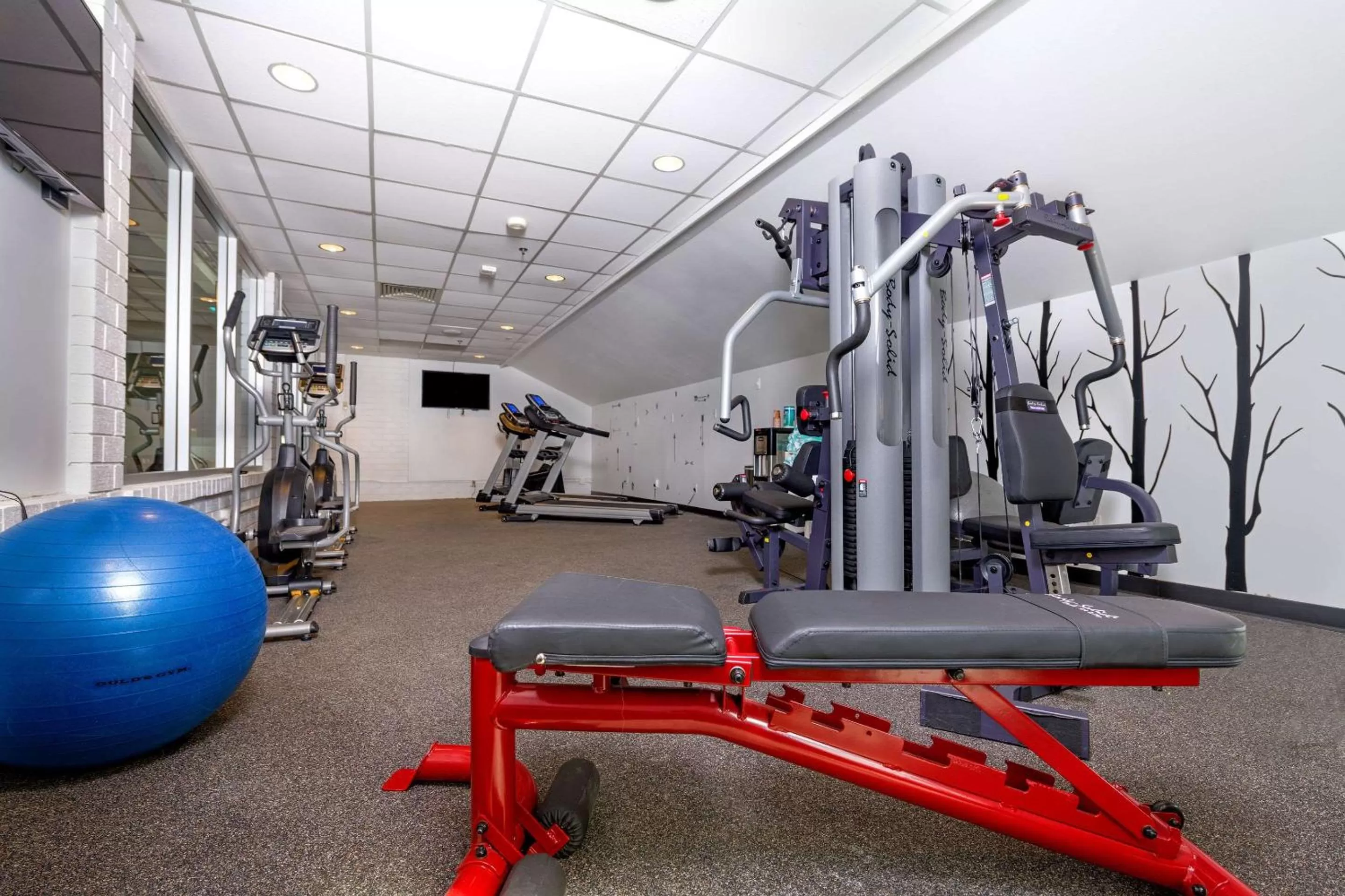 Fitness centre/facilities in Holiday Inn Estes Park by IHG