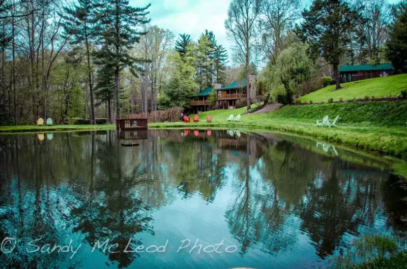 Garden in Asheville Cabins of Willow Winds