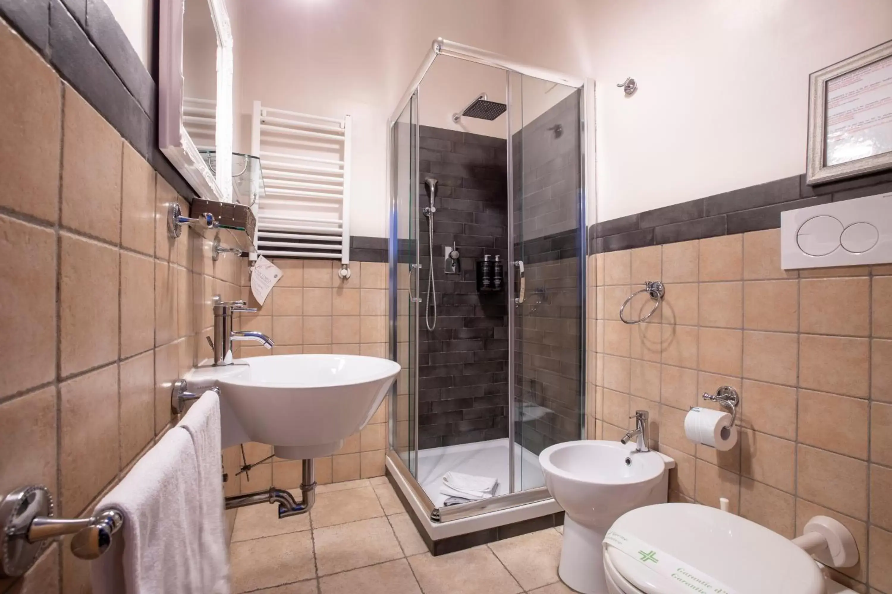 Shower, Bathroom in B&B Suites Trastevere