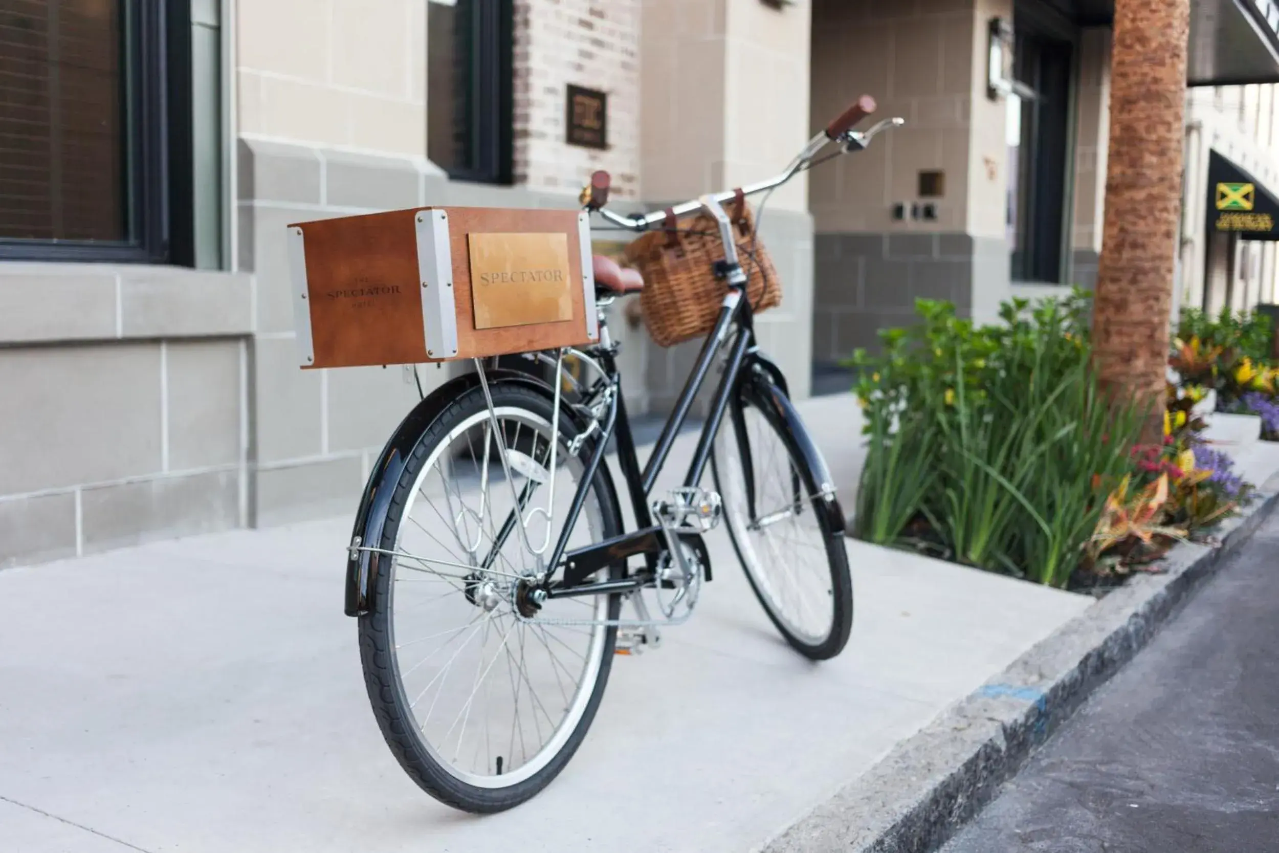 Day, Biking in The Spectator Hotel