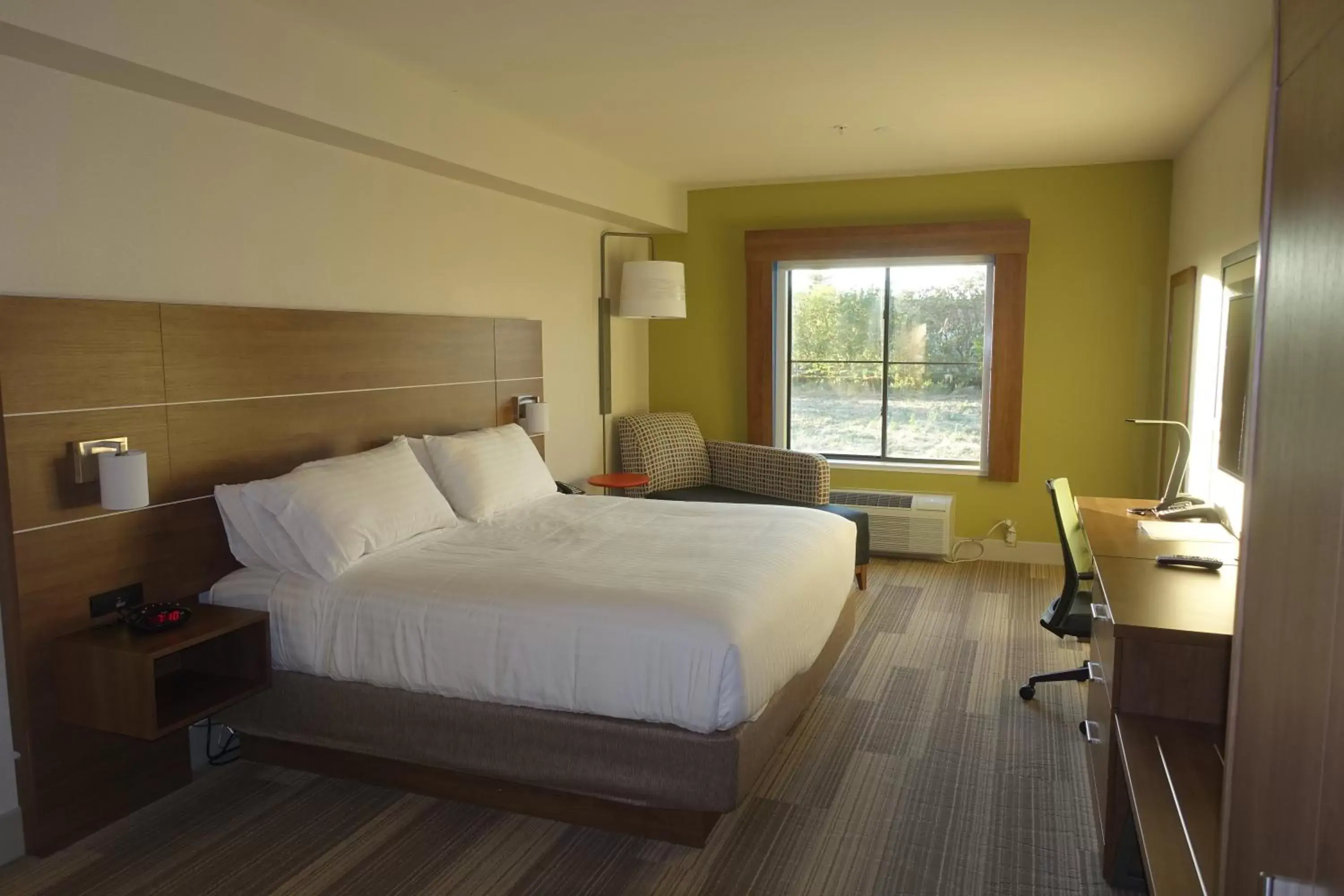 Photo of the whole room, Bed in Holiday Inn Express & Suites Brentwood, an IHG Hotel