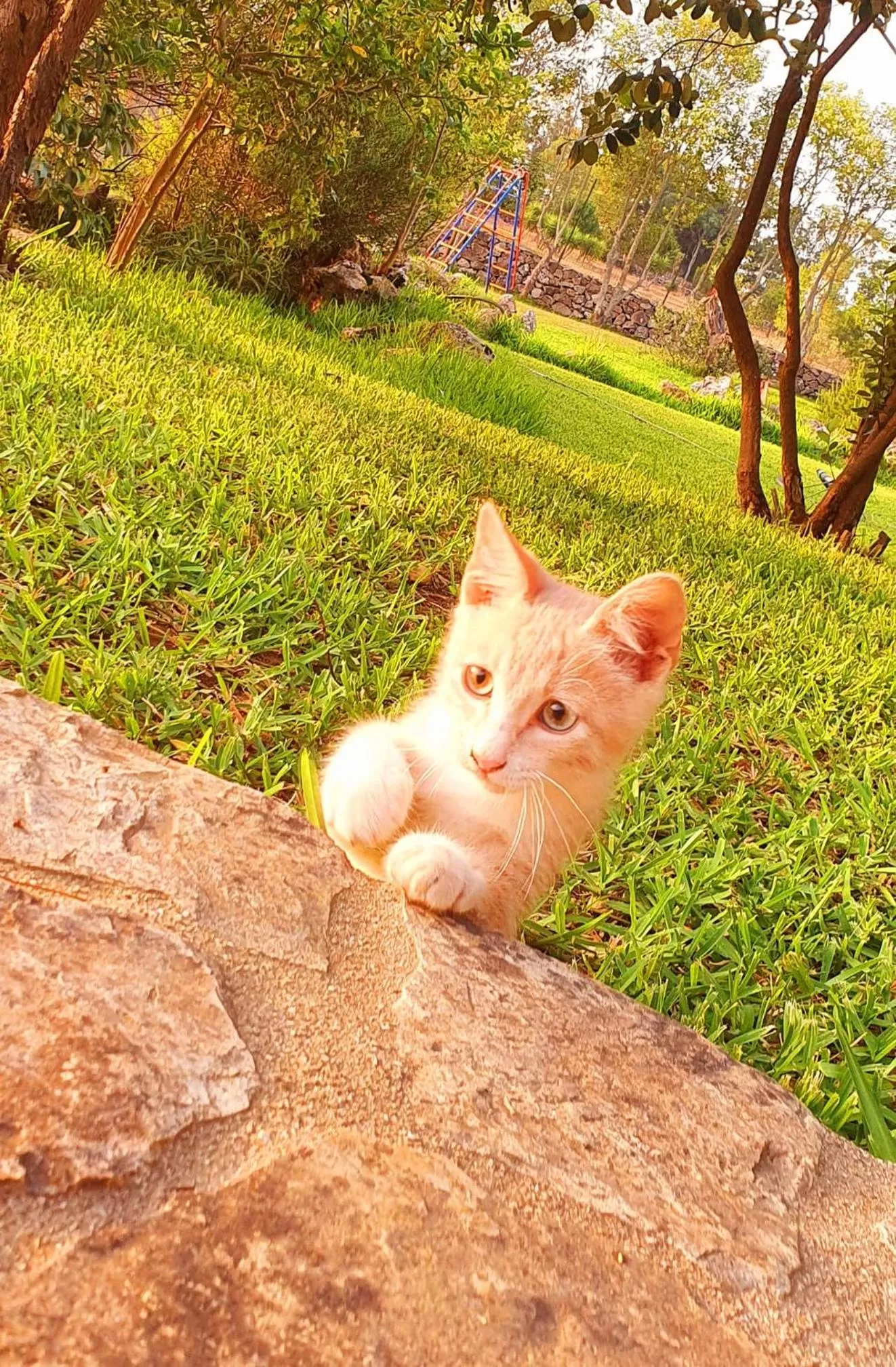 Garden, Pets in Grikò Country Hotel