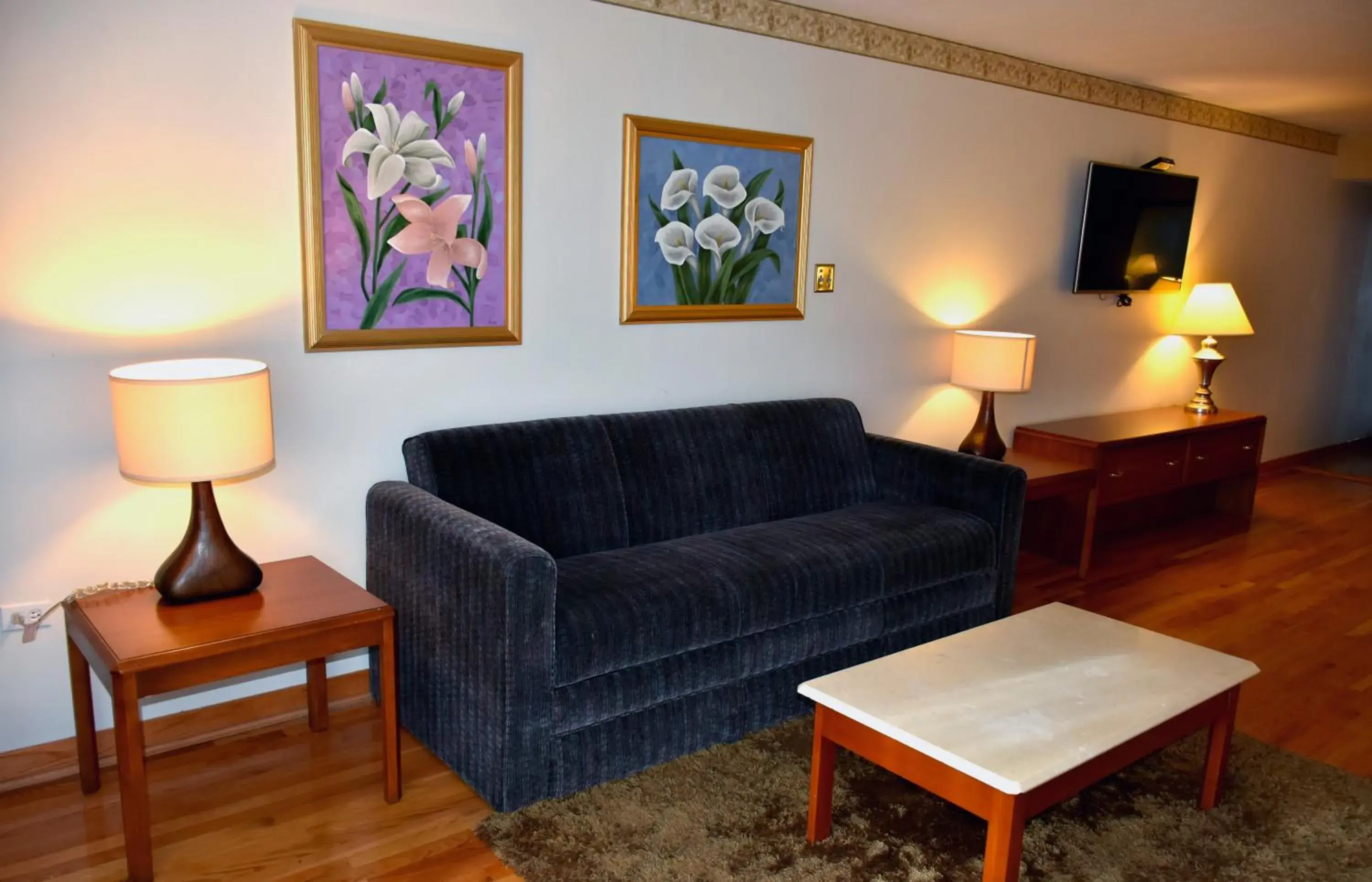 Living room in HM Mirador