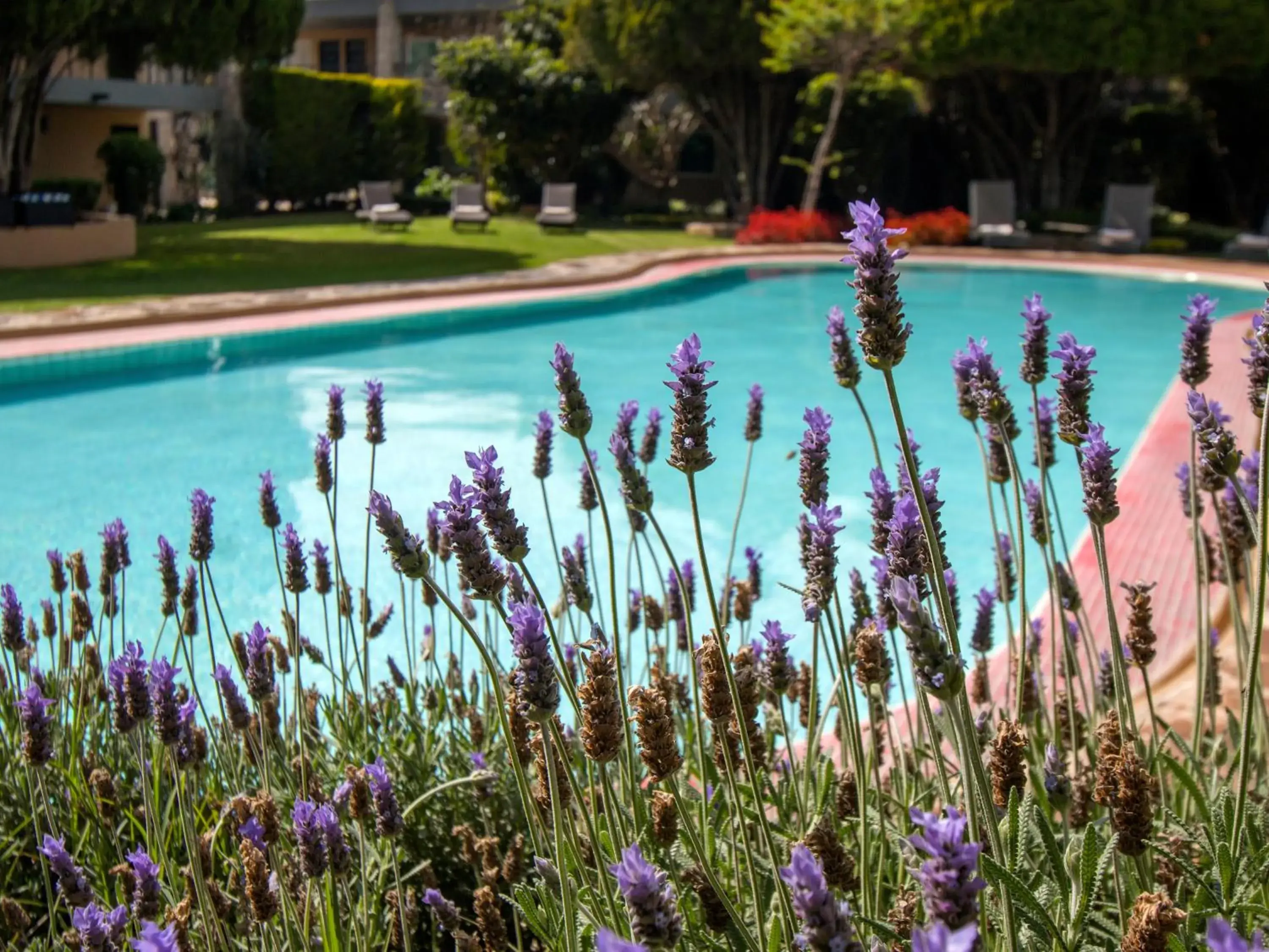 Swimming Pool in Hotel Rio Tequisquiapan