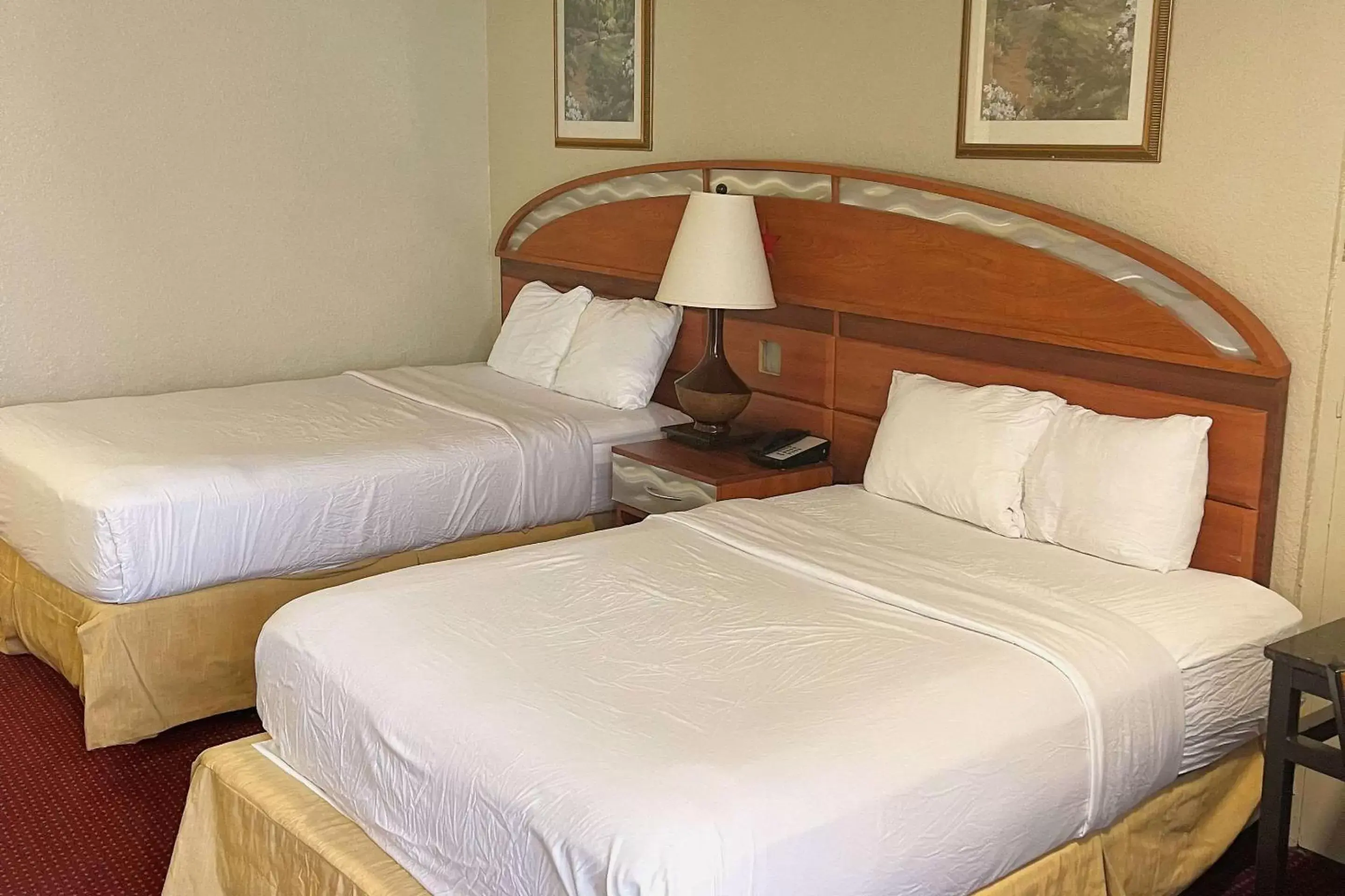 Bedroom, Bed in Quality Inn Orlando-Near Universal Blvd