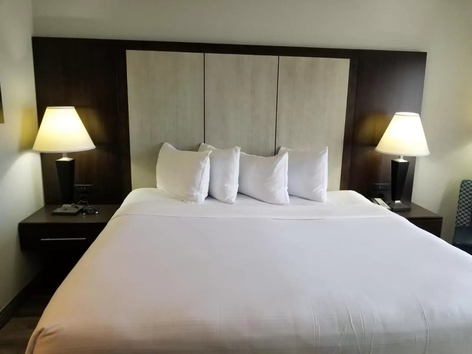 Bed in Wyndham Garden Hotel - Jacksonville