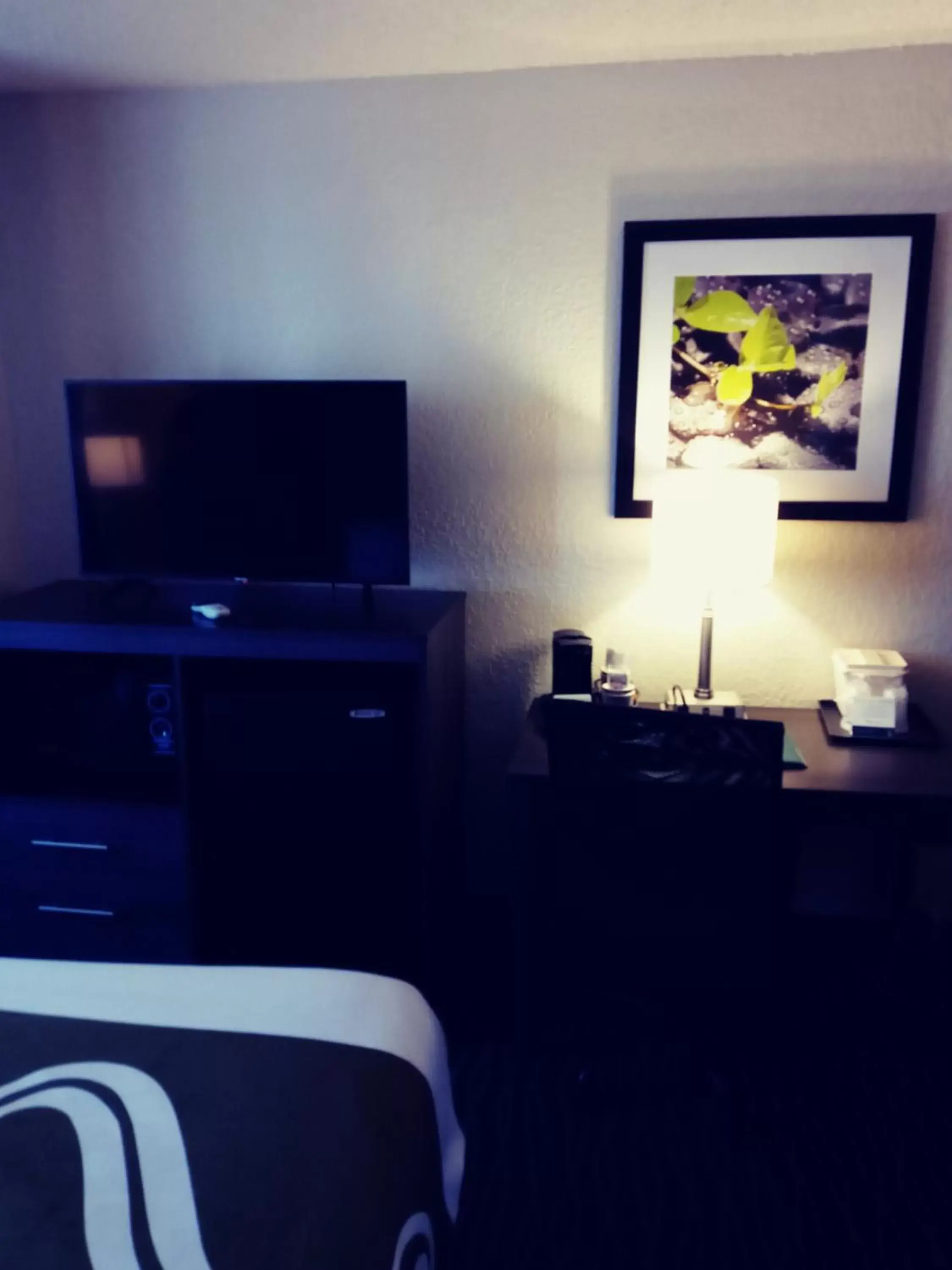 TV and multimedia, Bed in Quality Inn & Suites Leesburg Chain of Lakes TV and multimedia, Bed in Quality Inn & Suites Leesburg Chain of Lakes