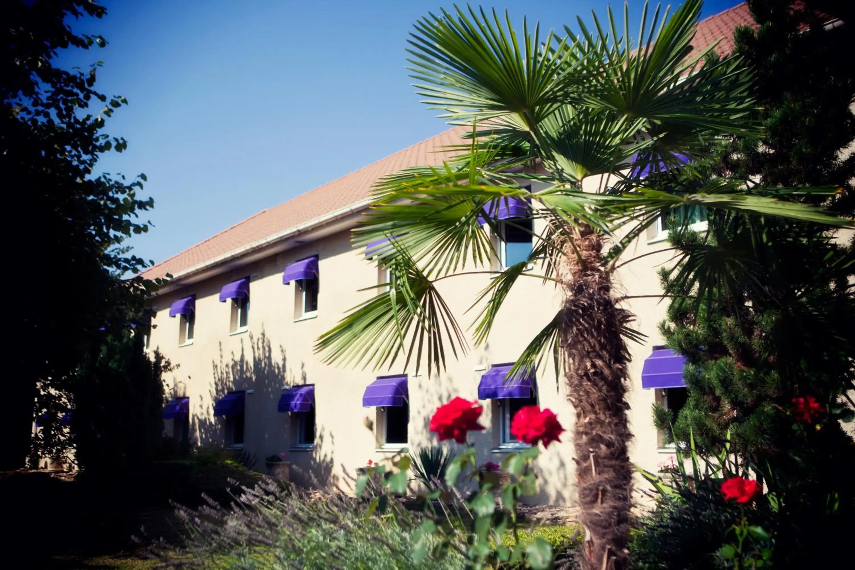 Area and facilities in Logis Carline Hôtel Restaurant