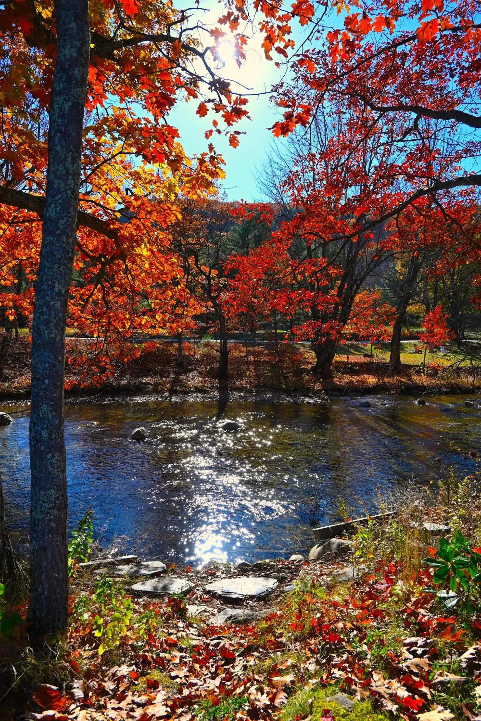 Autumn, Natural Landscape in The Lodge at Jackson Village