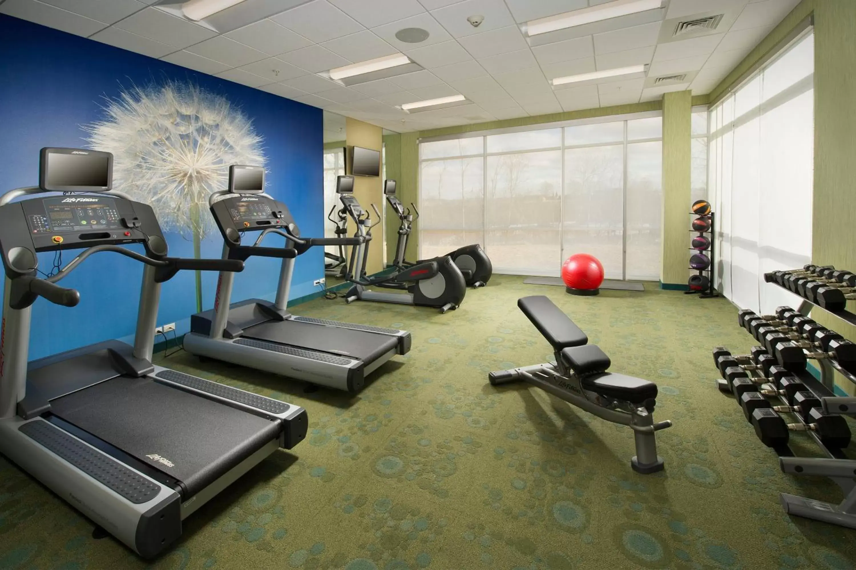 Fitness centre/facilities, Fitness Center/Facilities in SpringHill Suites Bridgeport Clarksburg