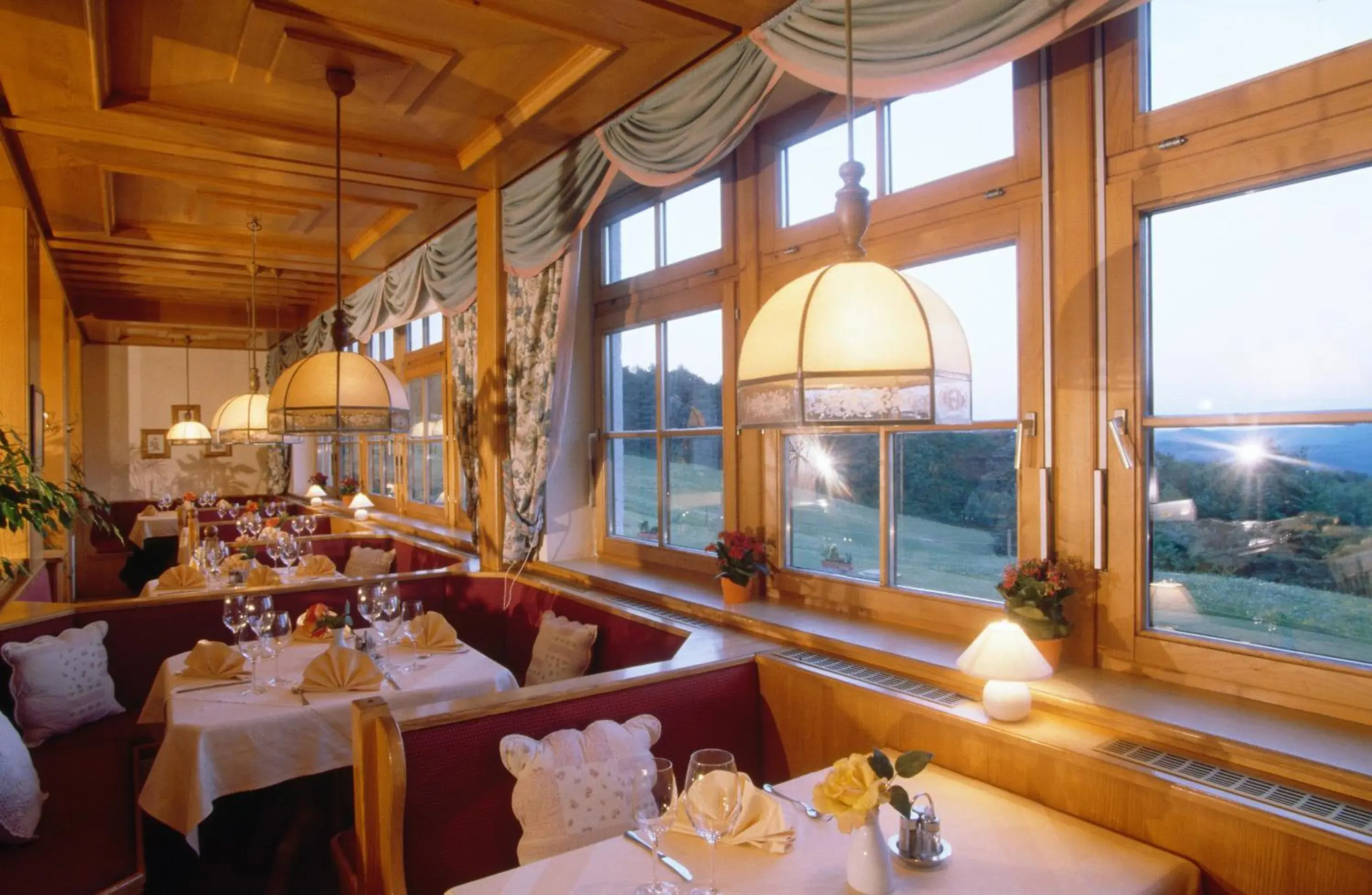 Restaurant/Places to Eat in Wienerwaldhof Rieger