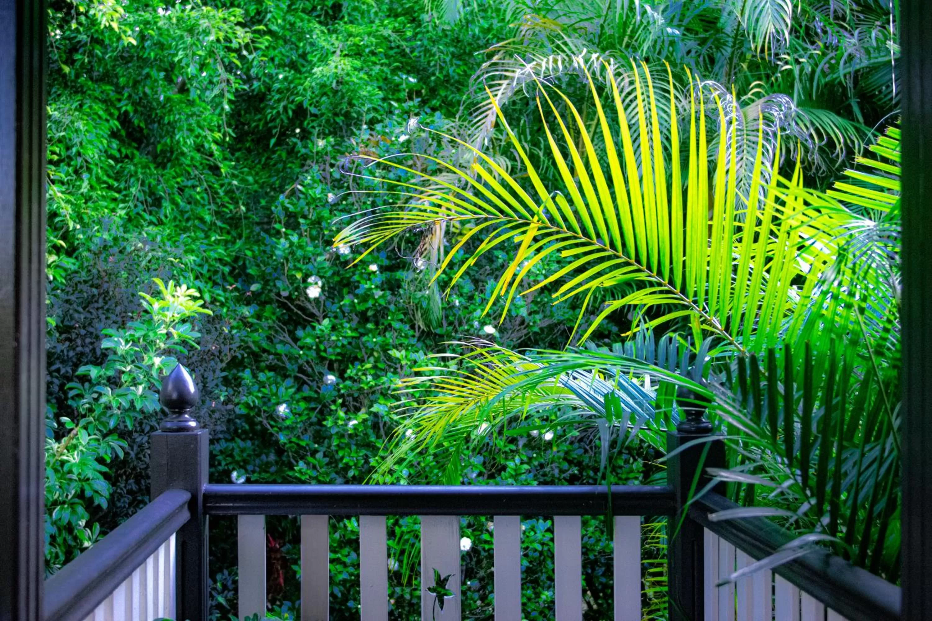 Balcony/Terrace in Mountain Sanctuary B&B