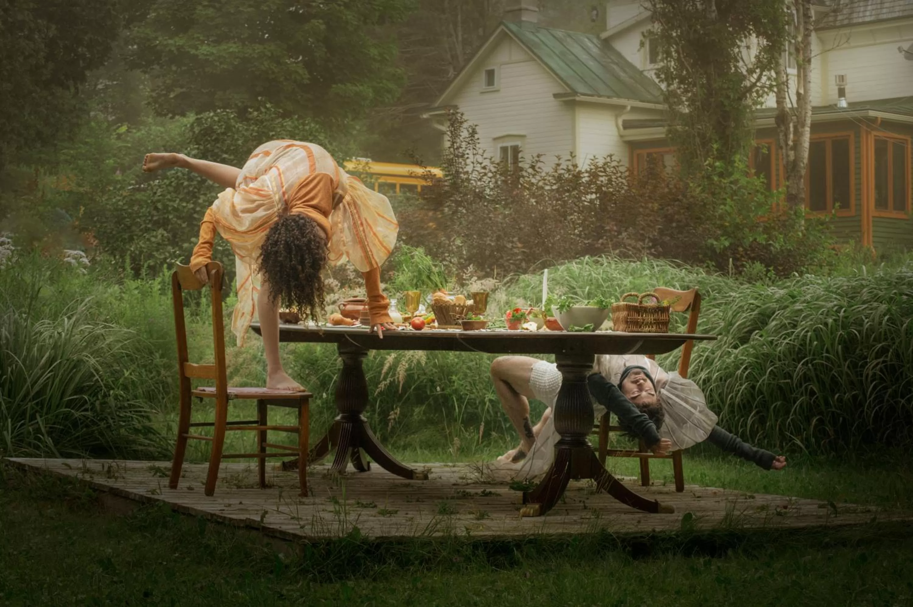 Garden in Le Salon des Inconnus