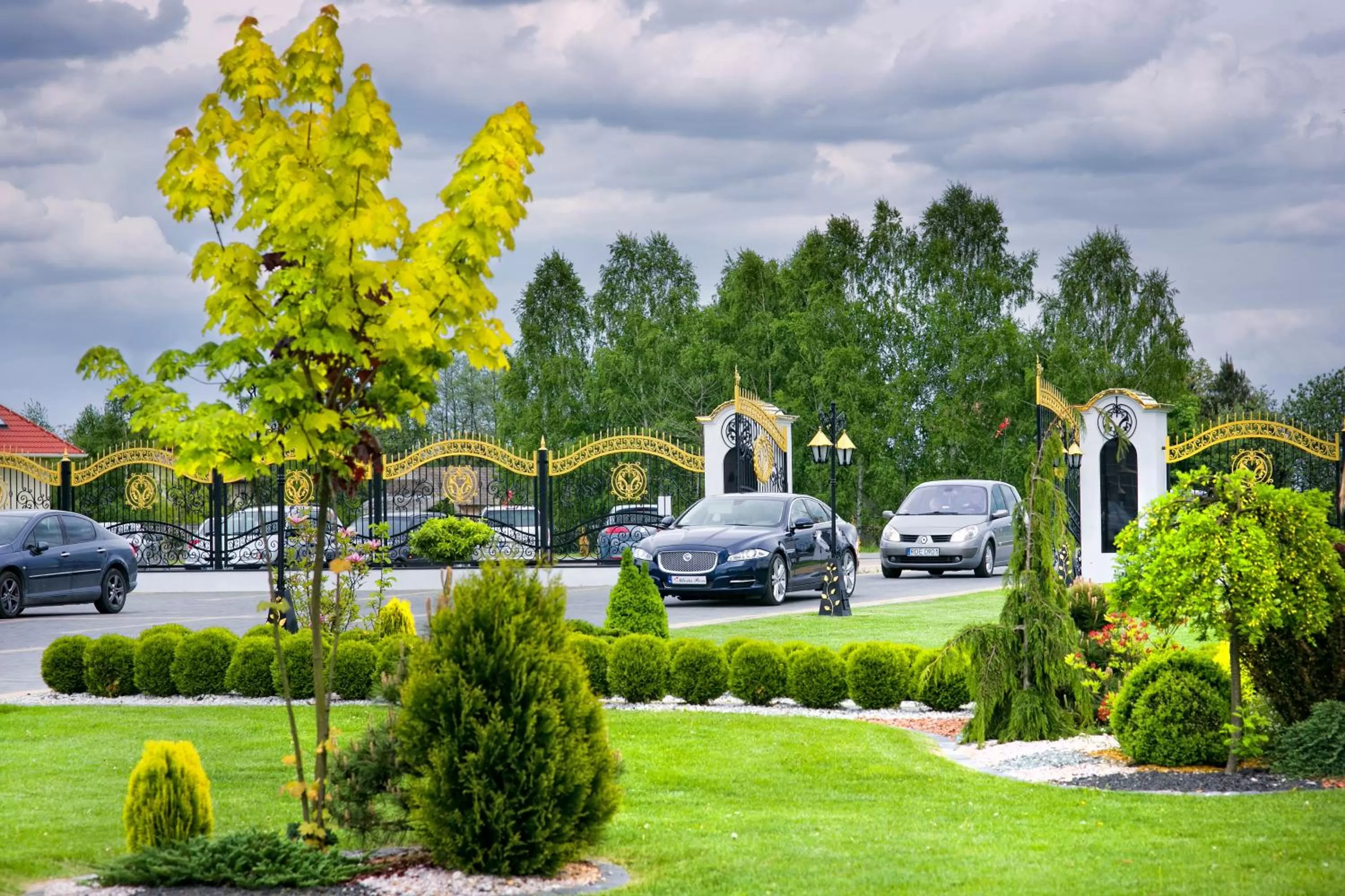 Natural landscape, Garden in Hotel Campari