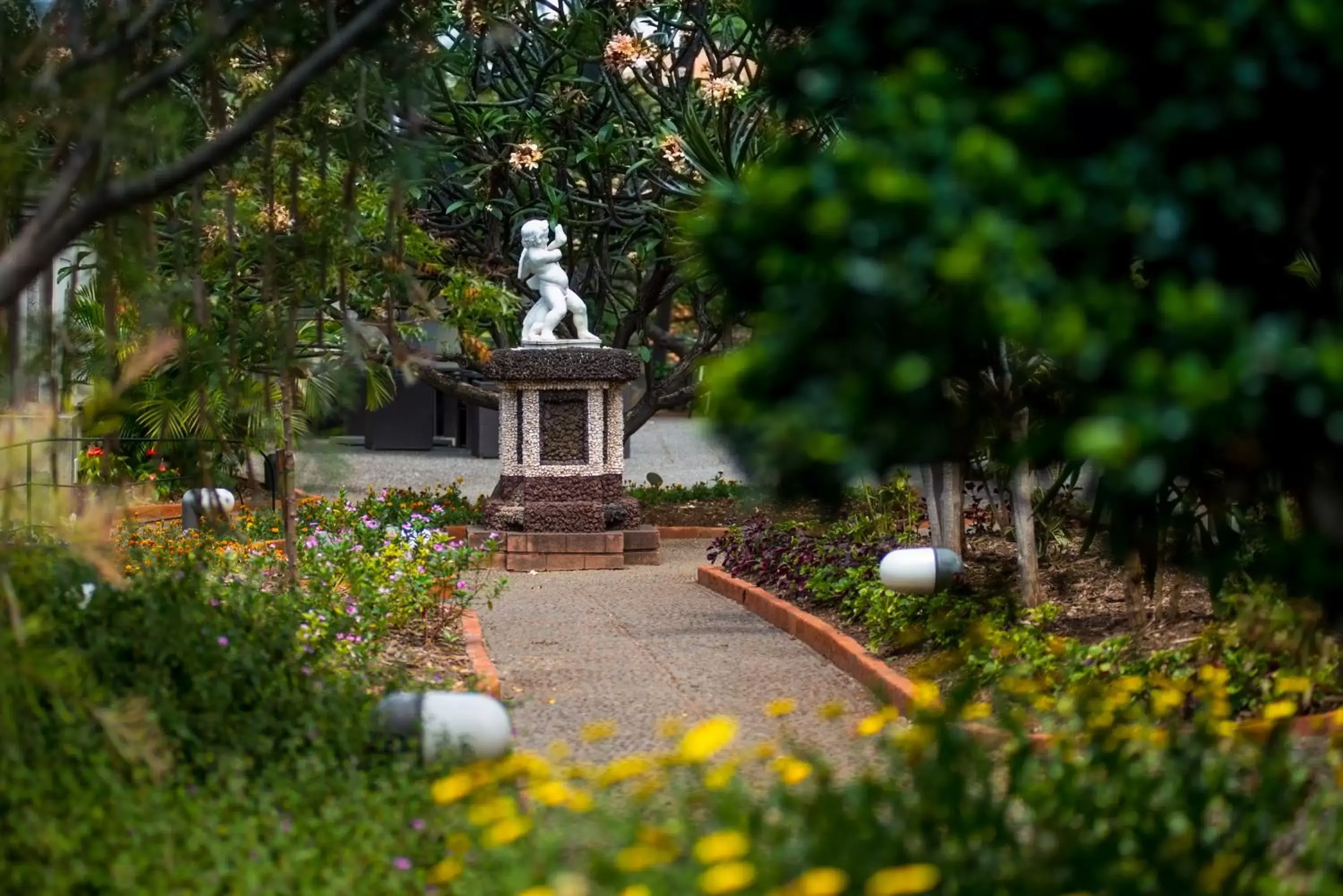 Garden in ARTS IN Hotel Conde Carvalhal