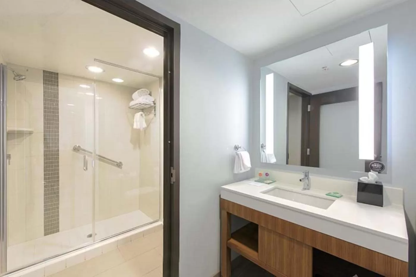 Shower in DoubleTree by Hilton Asheville Downtown