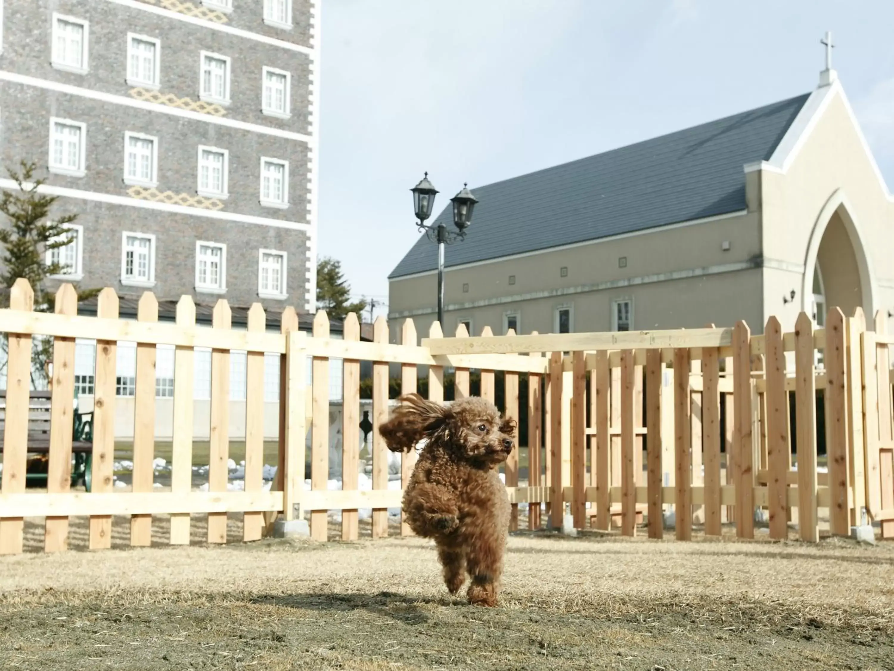 Property Building in Wellness Forest Nasu