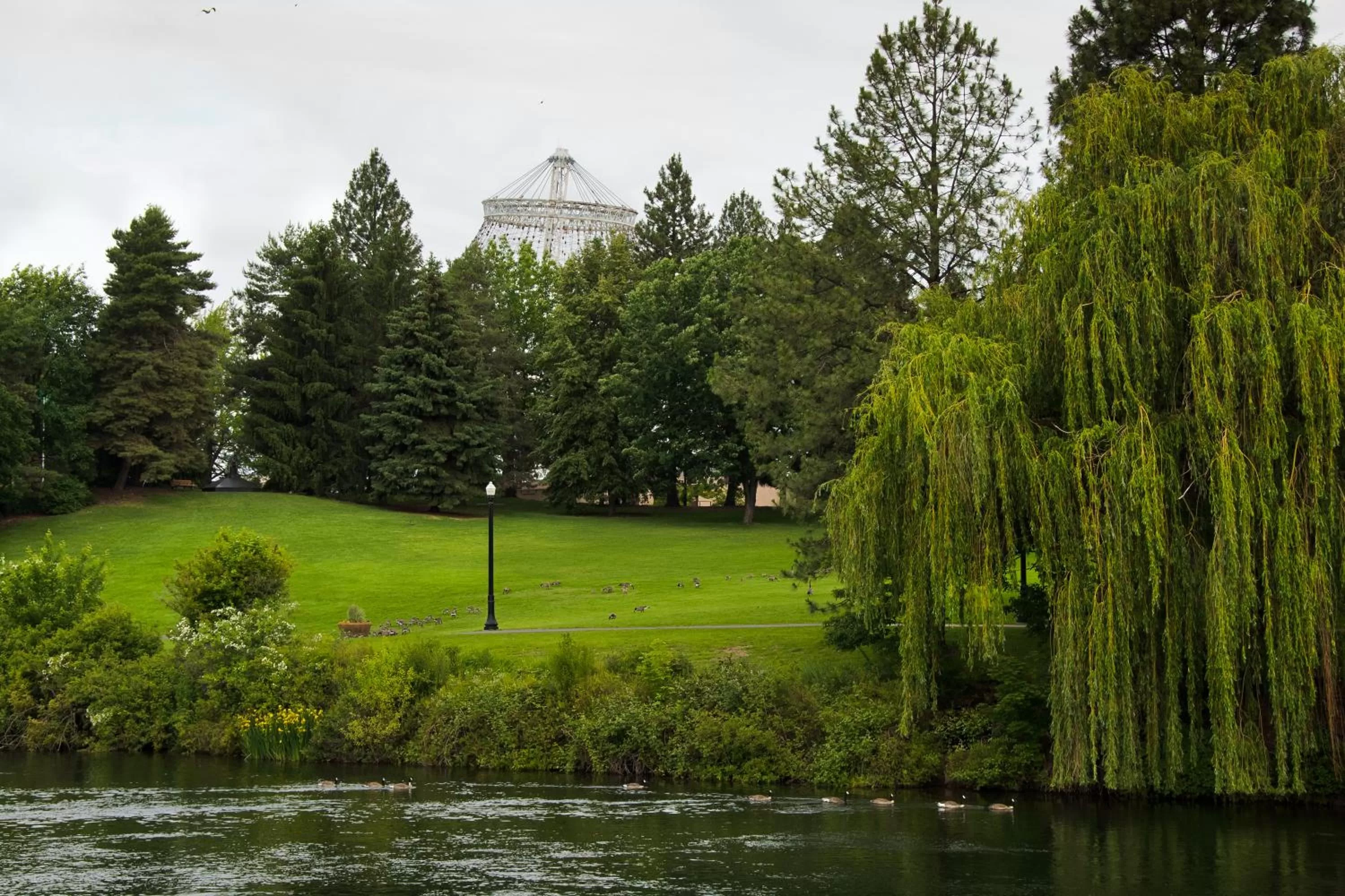 Natural landscape in Oxford Suites Spokane Downtown