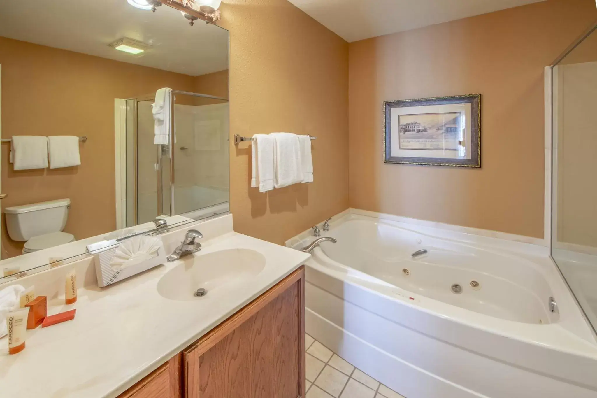 Bathroom in Holiday Inn Club Vacations - David Walley's Resort, an IHG Hotel