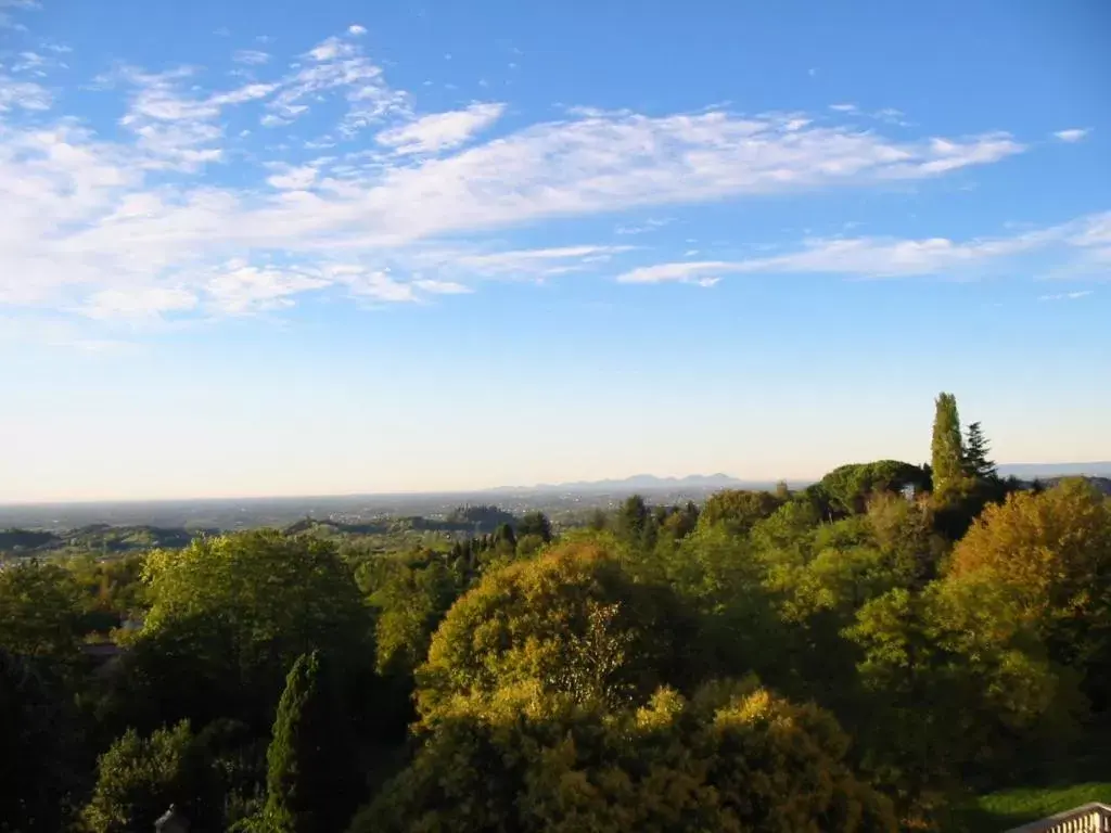 Garden view in Villa Scalabrini