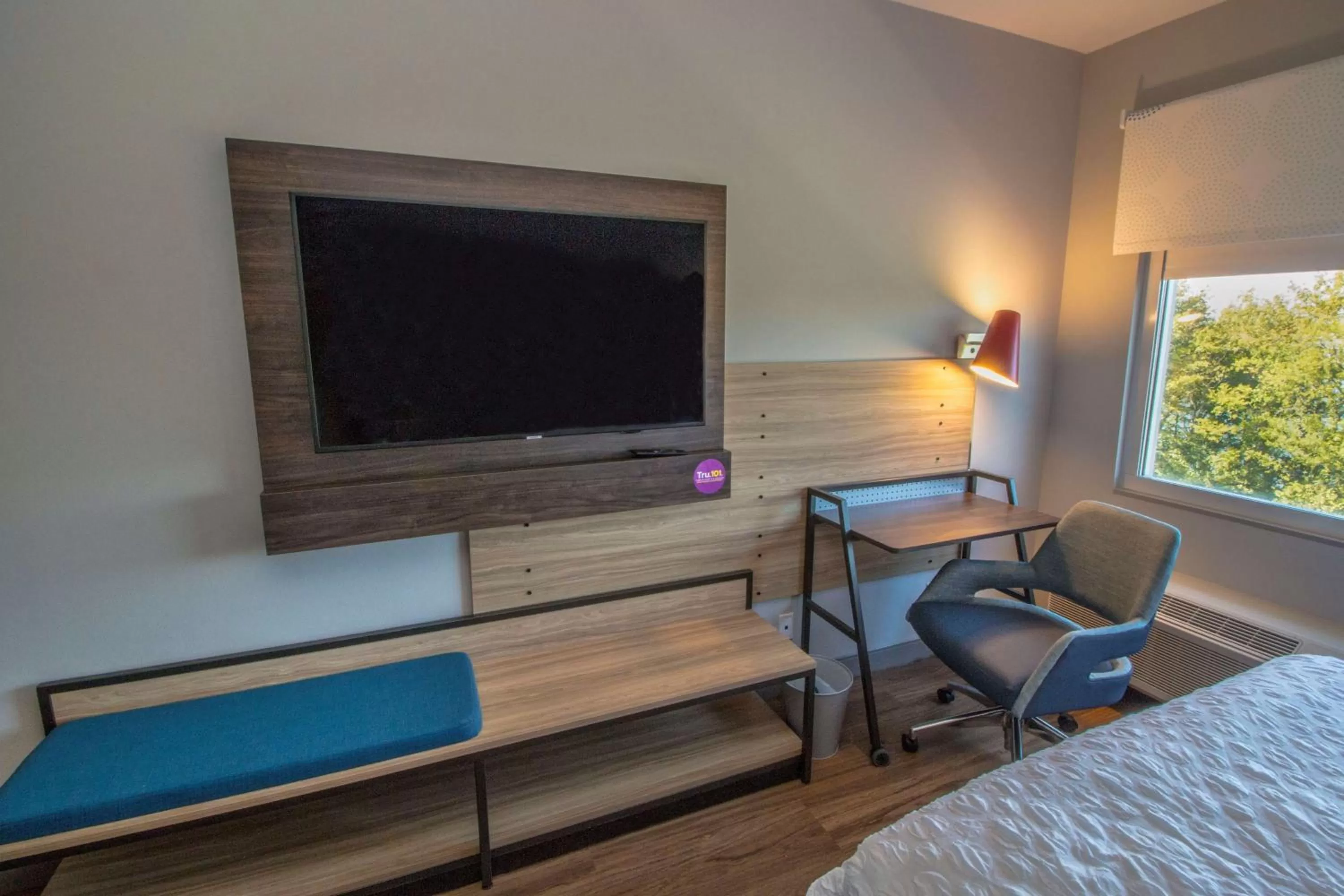 King Room with Bath Tub - Mobility Accessible in Tru By Hilton Norfolk Airport, Va