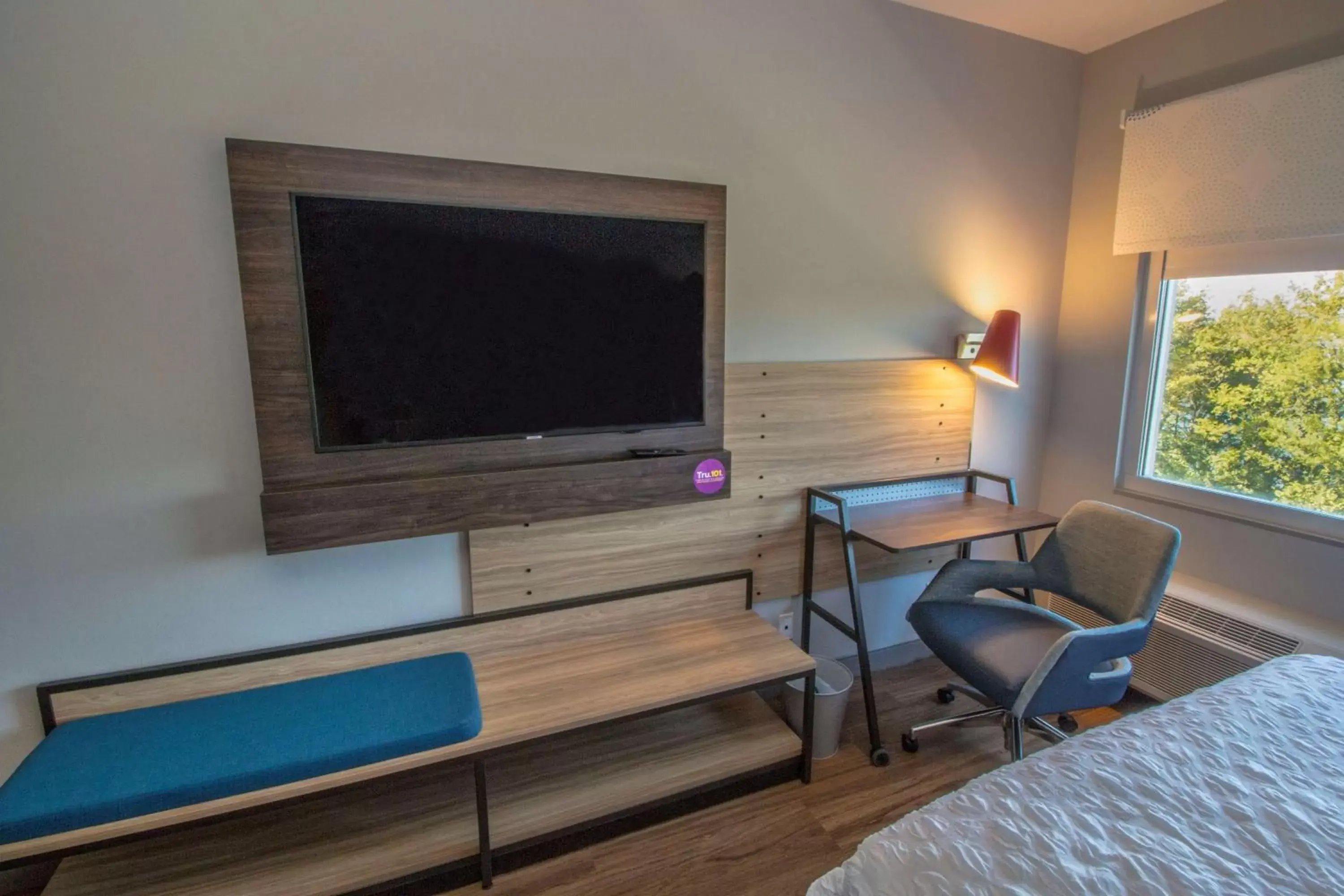 Bedroom, TV/Entertainment Center in Tru By Hilton Norfolk Airport, Va