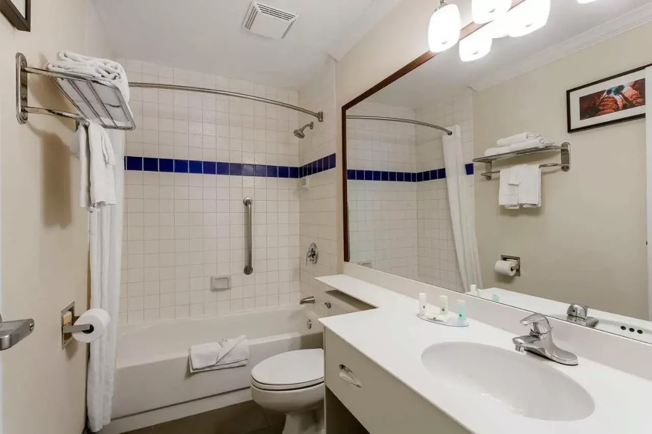 Bathroom in Comfort Inn Murray – Salt Lake City South