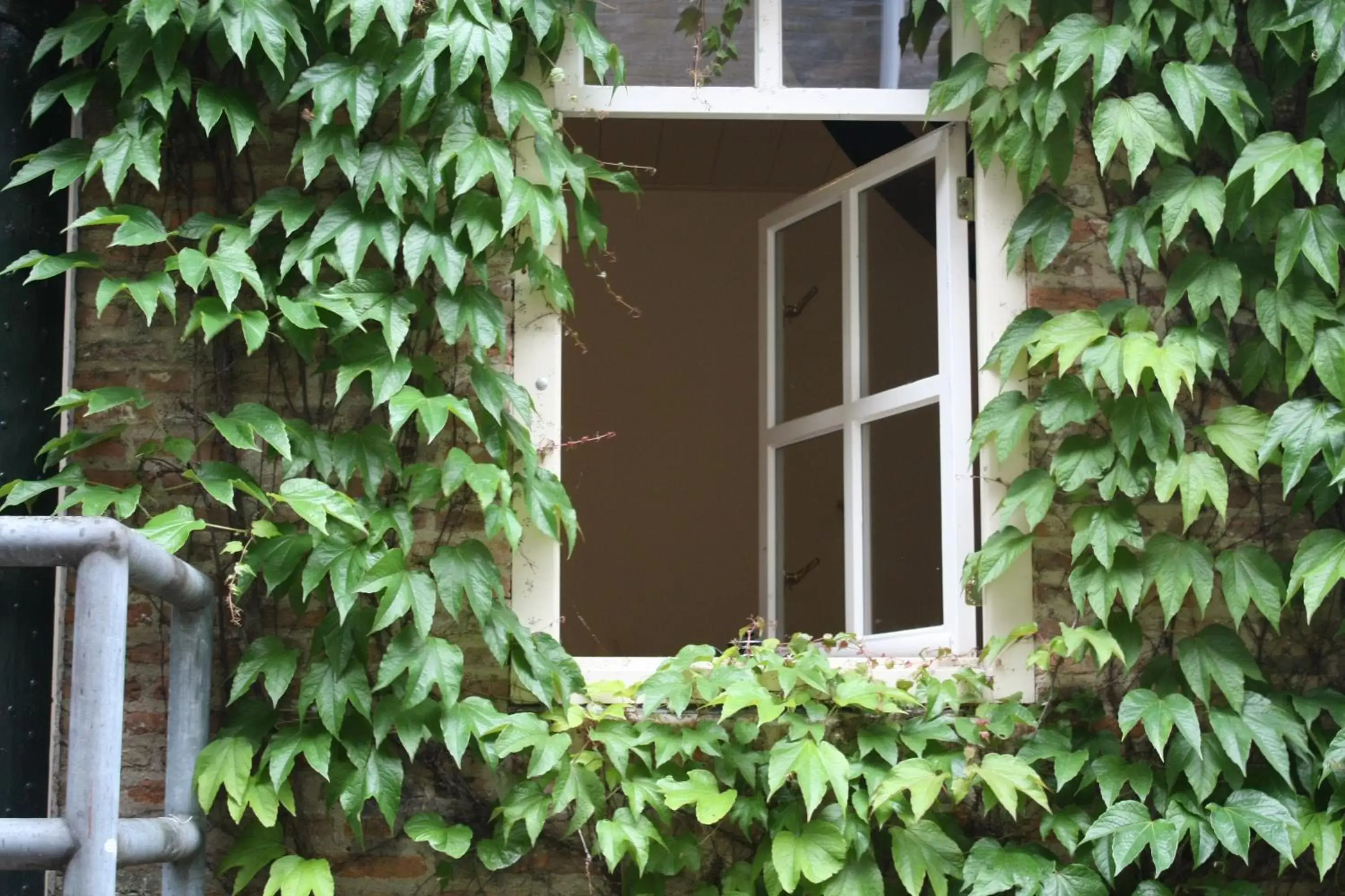 View (from property/room), Property Building in De Hemel De Kracht van Ambacht